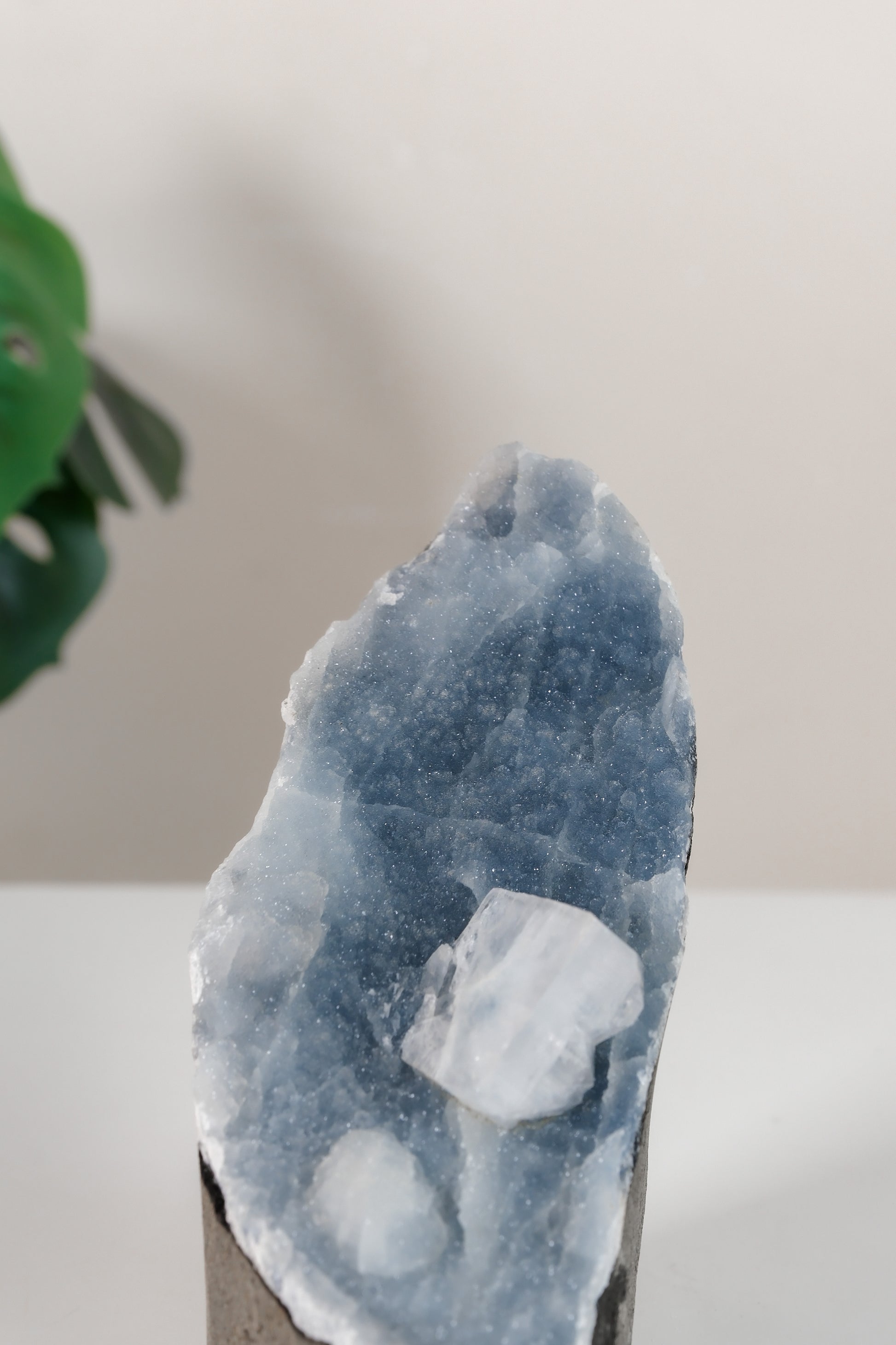 Apophyllite on Shimmering Blue Chalcedony Cutbase Cluster