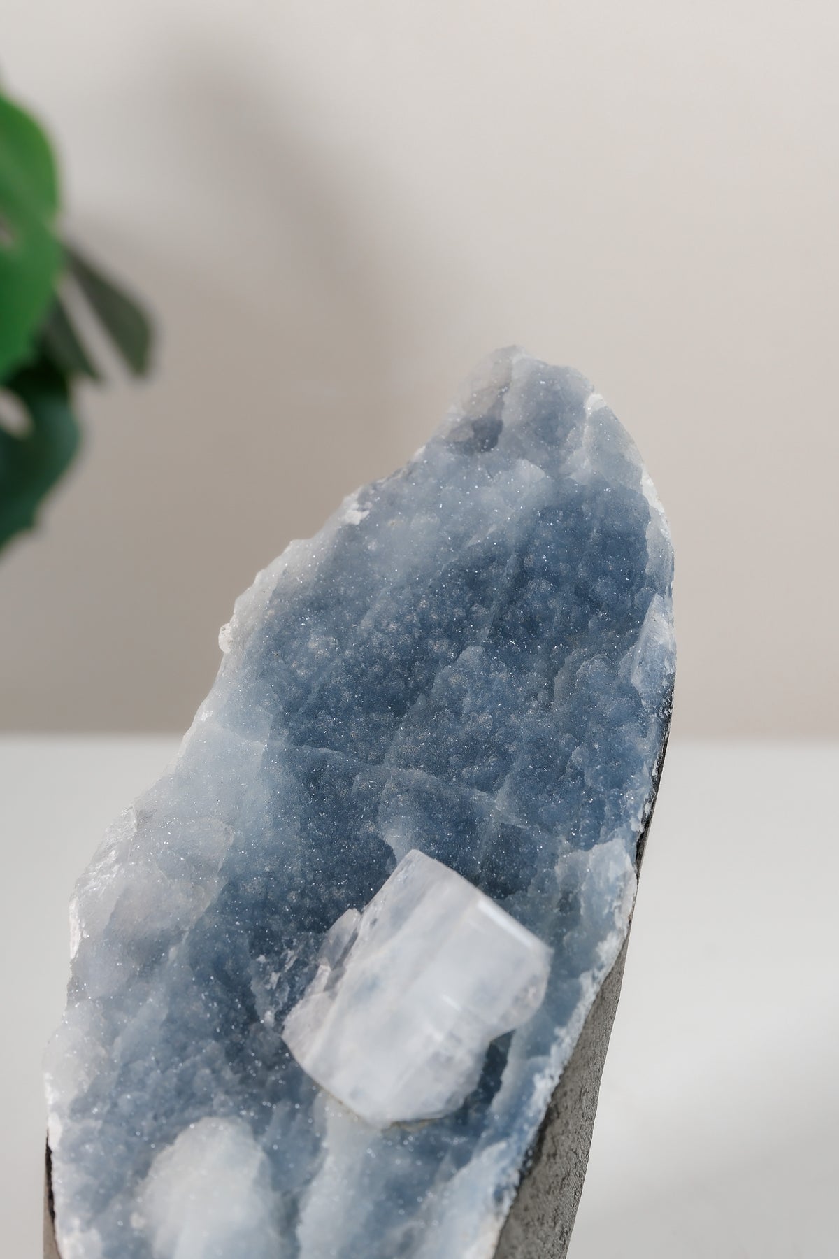 Apophyllite on Shimmering Blue Chalcedony Cutbase Cluster