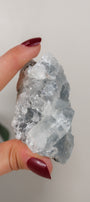 Apophyllite Cluster
