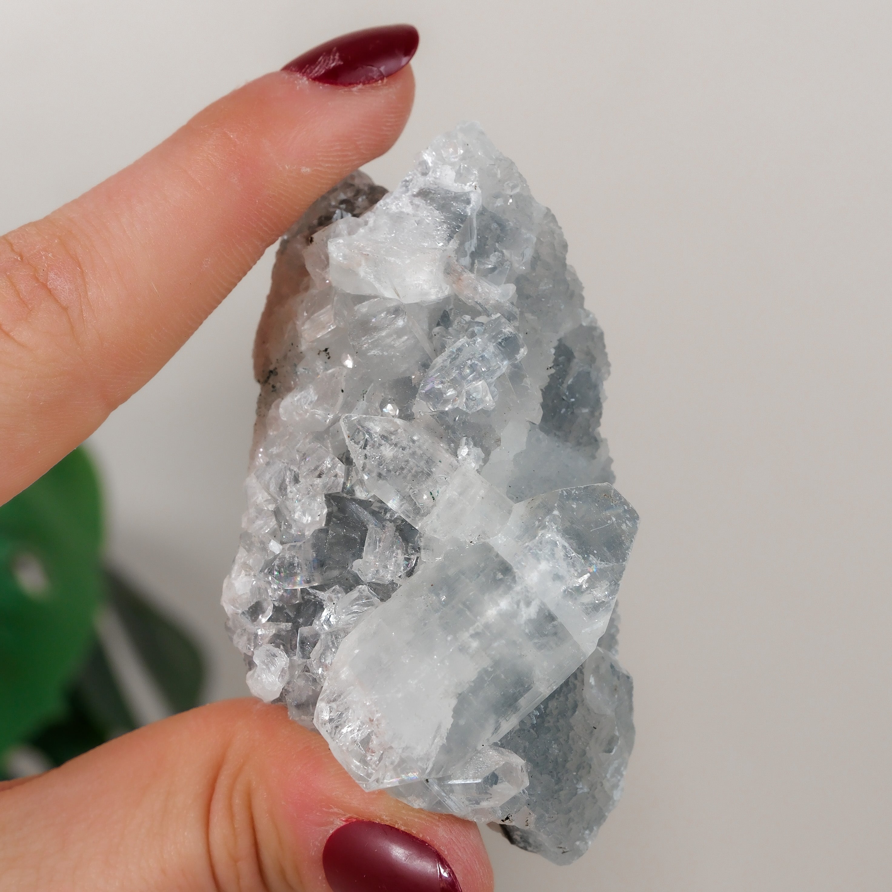 Apophyllite Cluster