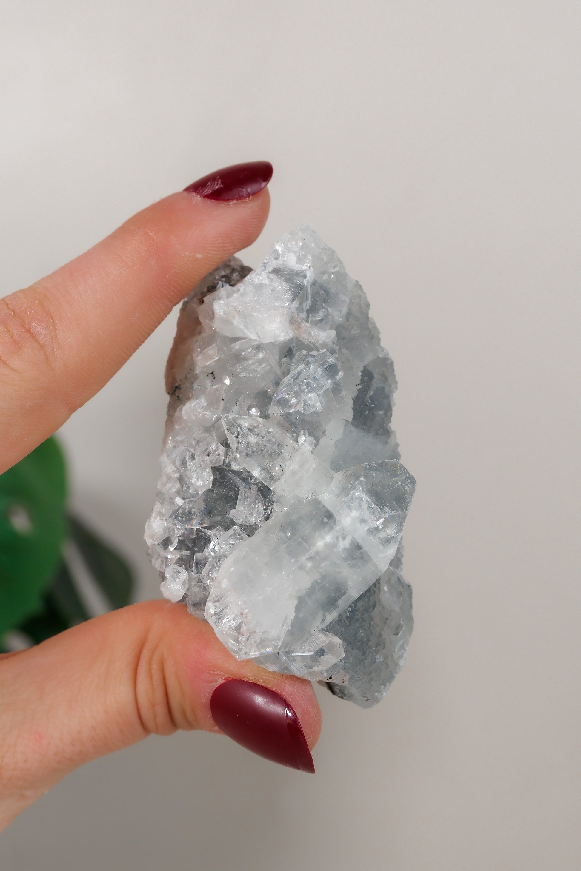 Apophyllite Cluster