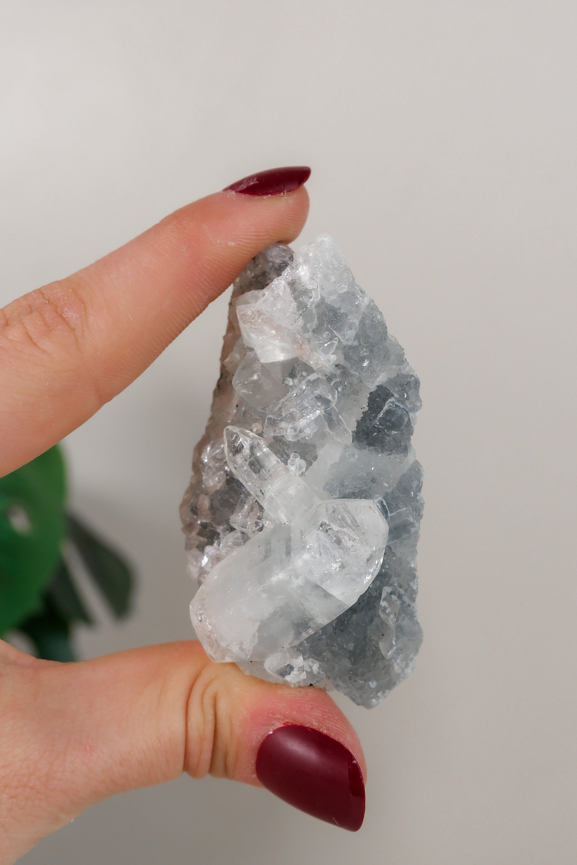 Apophyllite Cluster