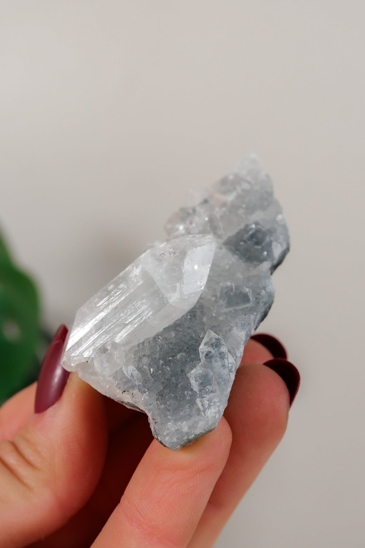 Apophyllite Cluster