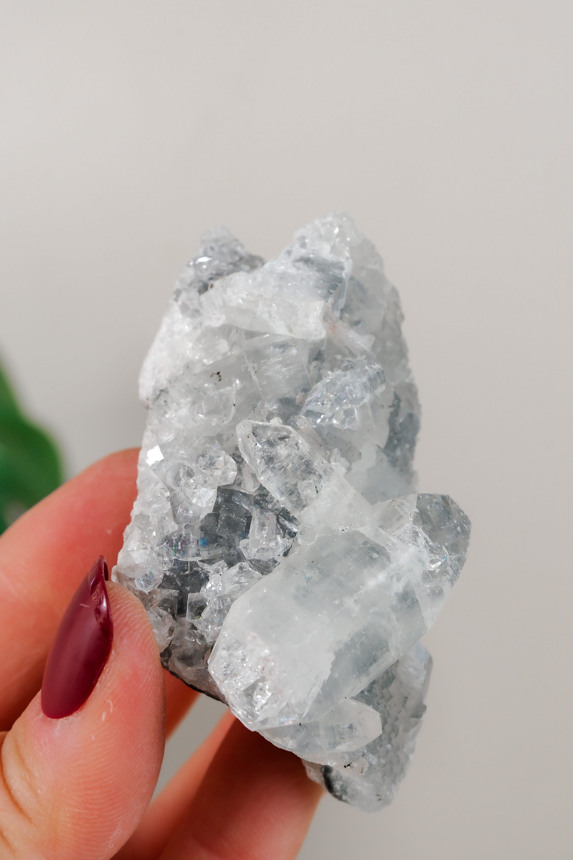 Apophyllite Cluster