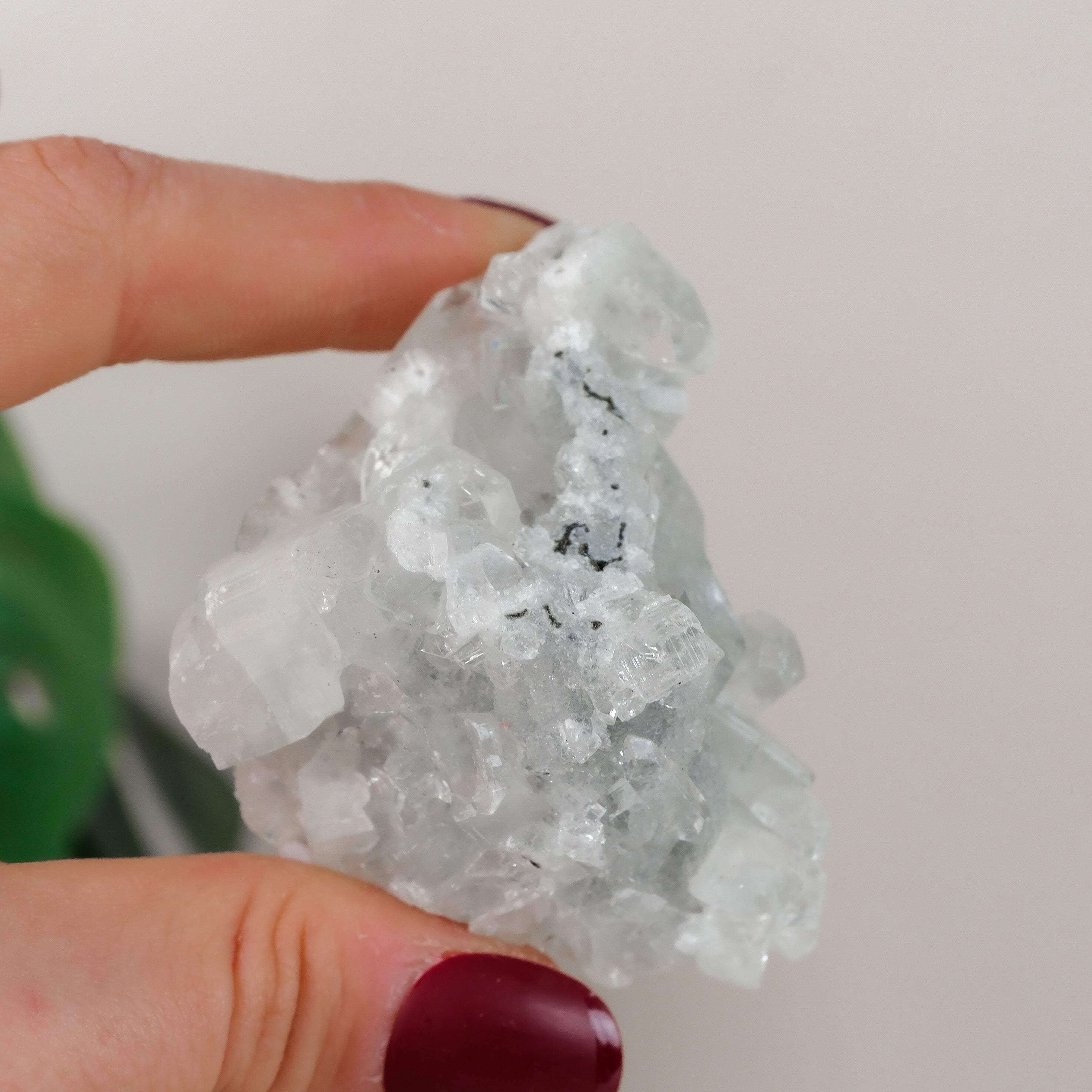 Apophyllite Cluster