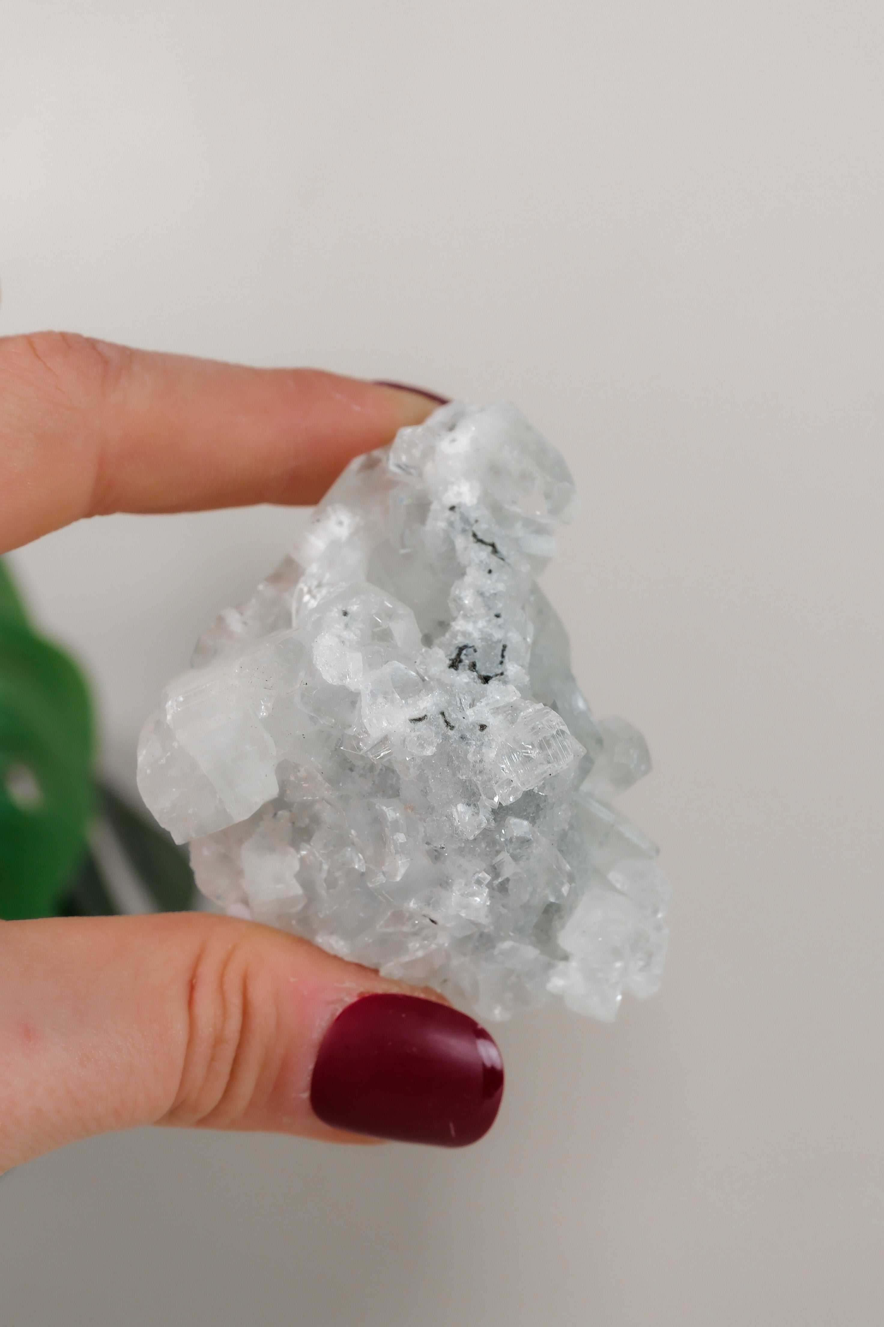 Apophyllite Cluster
