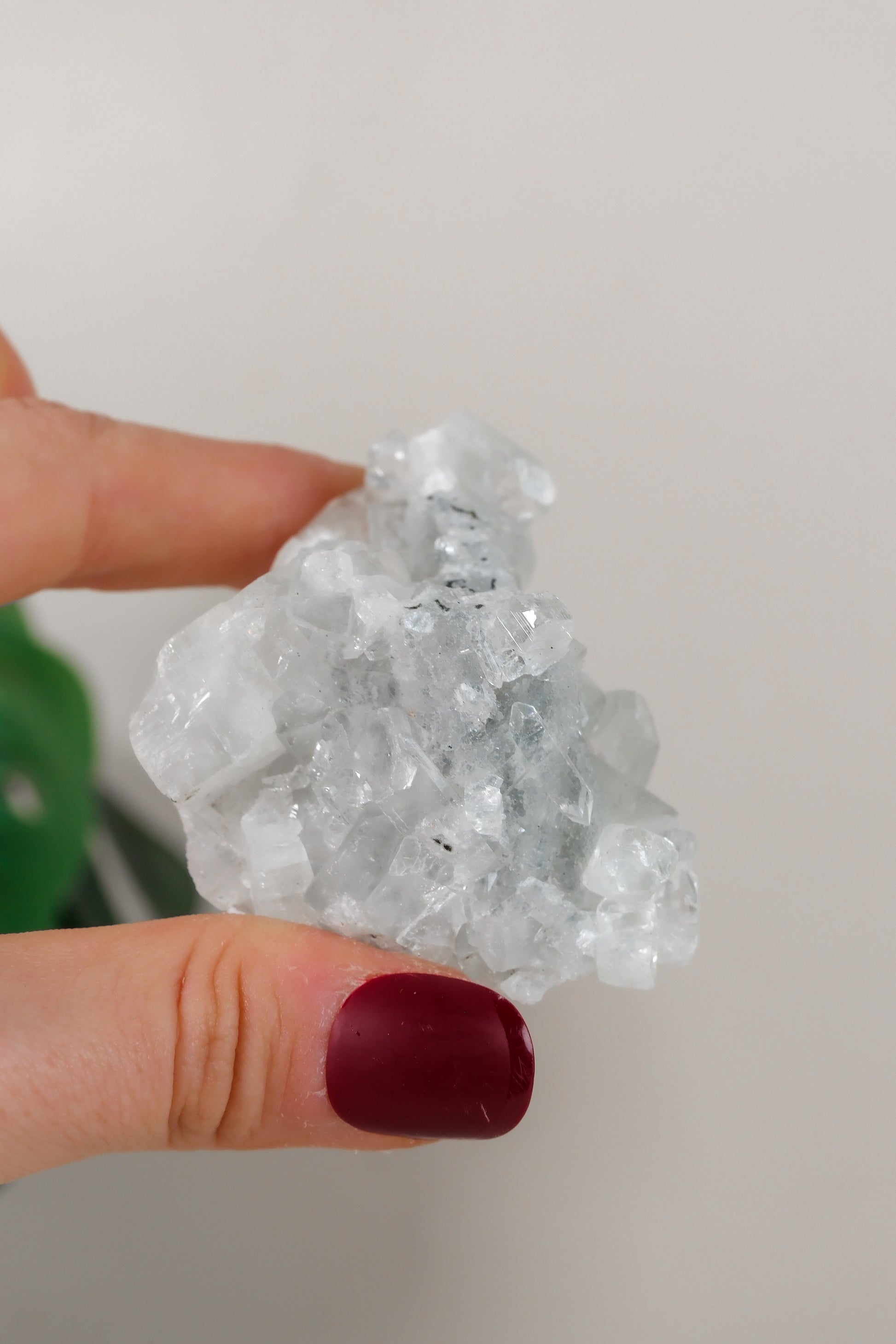Apophyllite Cluster
