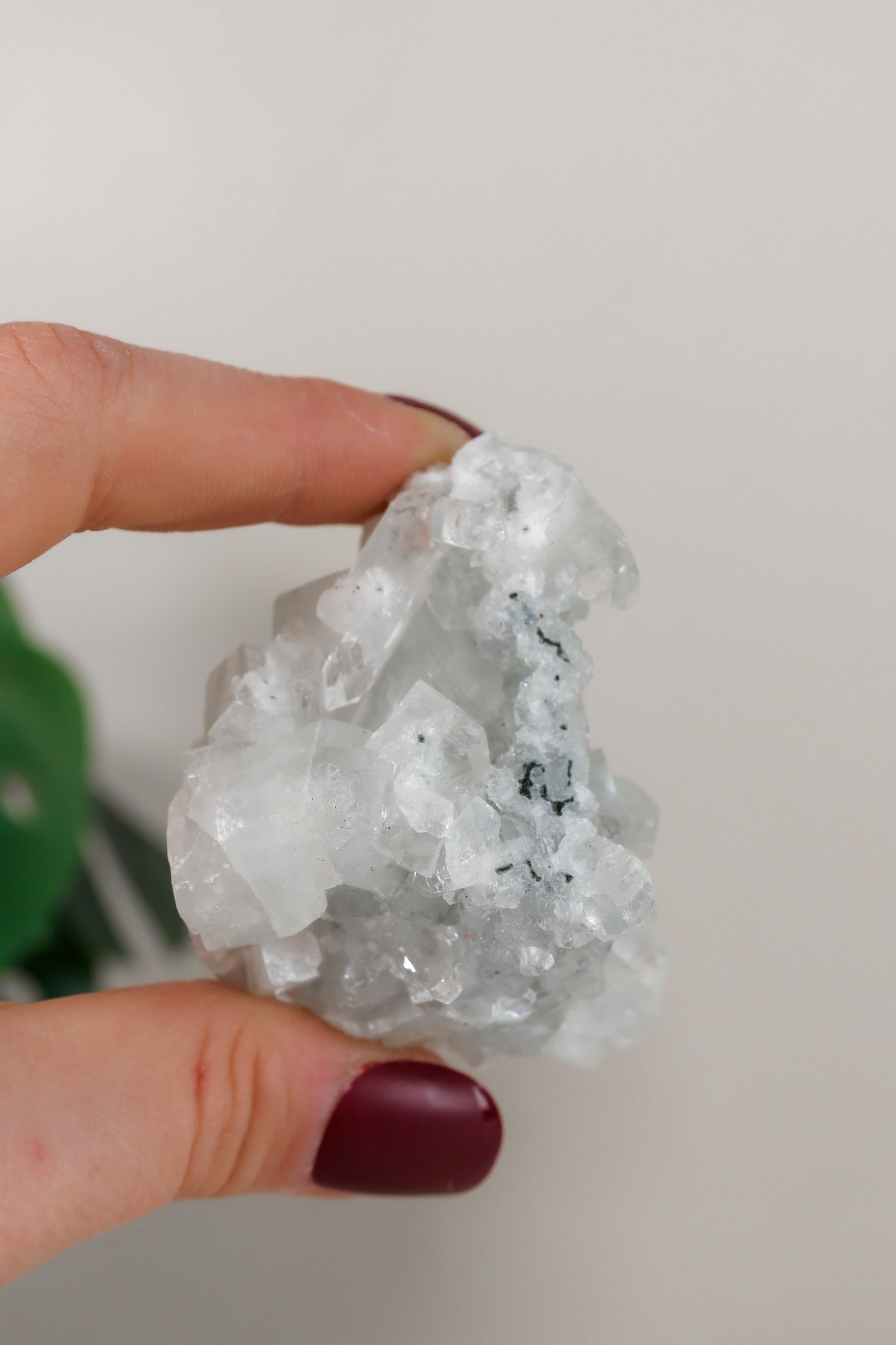 Apophyllite Cluster