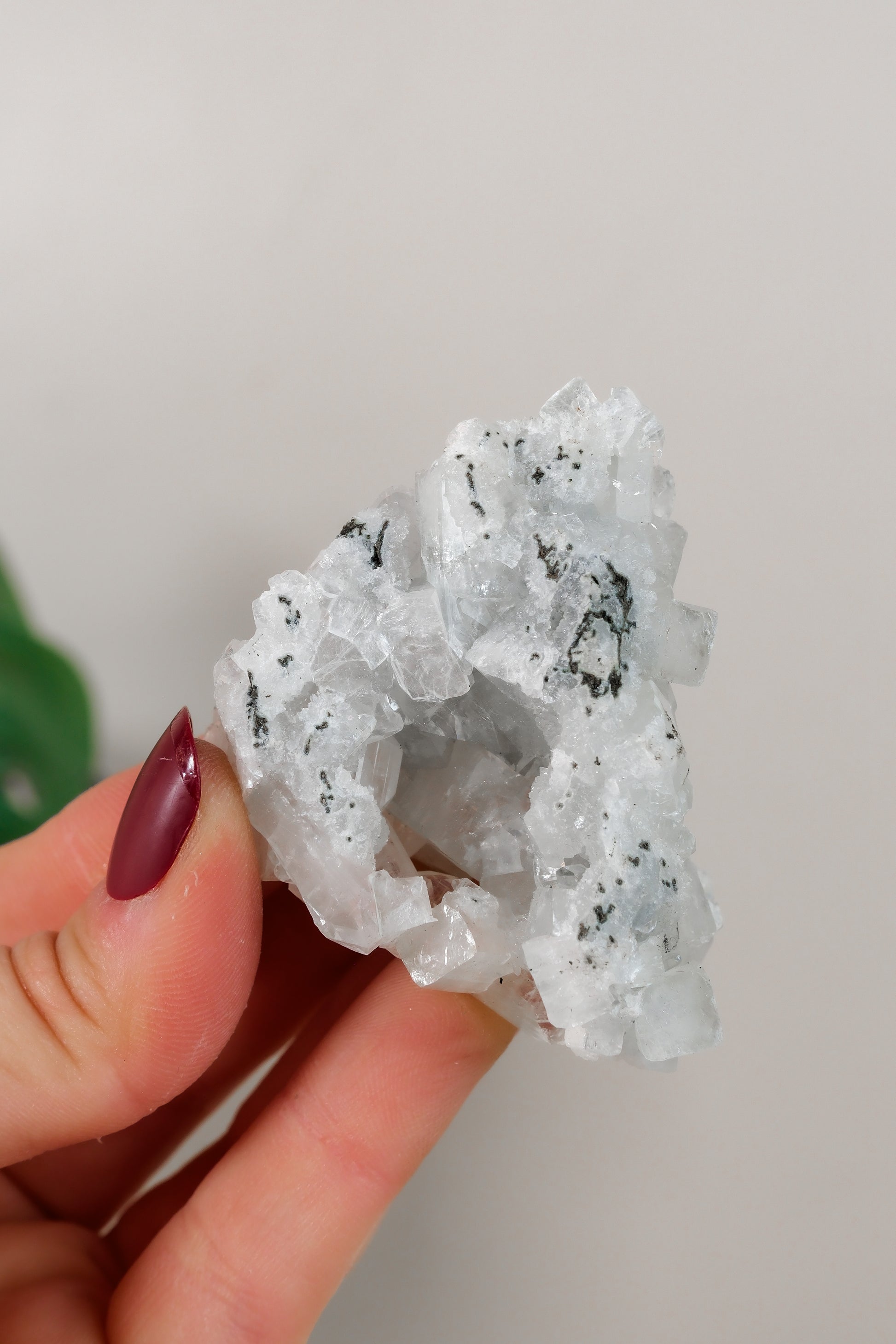 Apophyllite Cluster