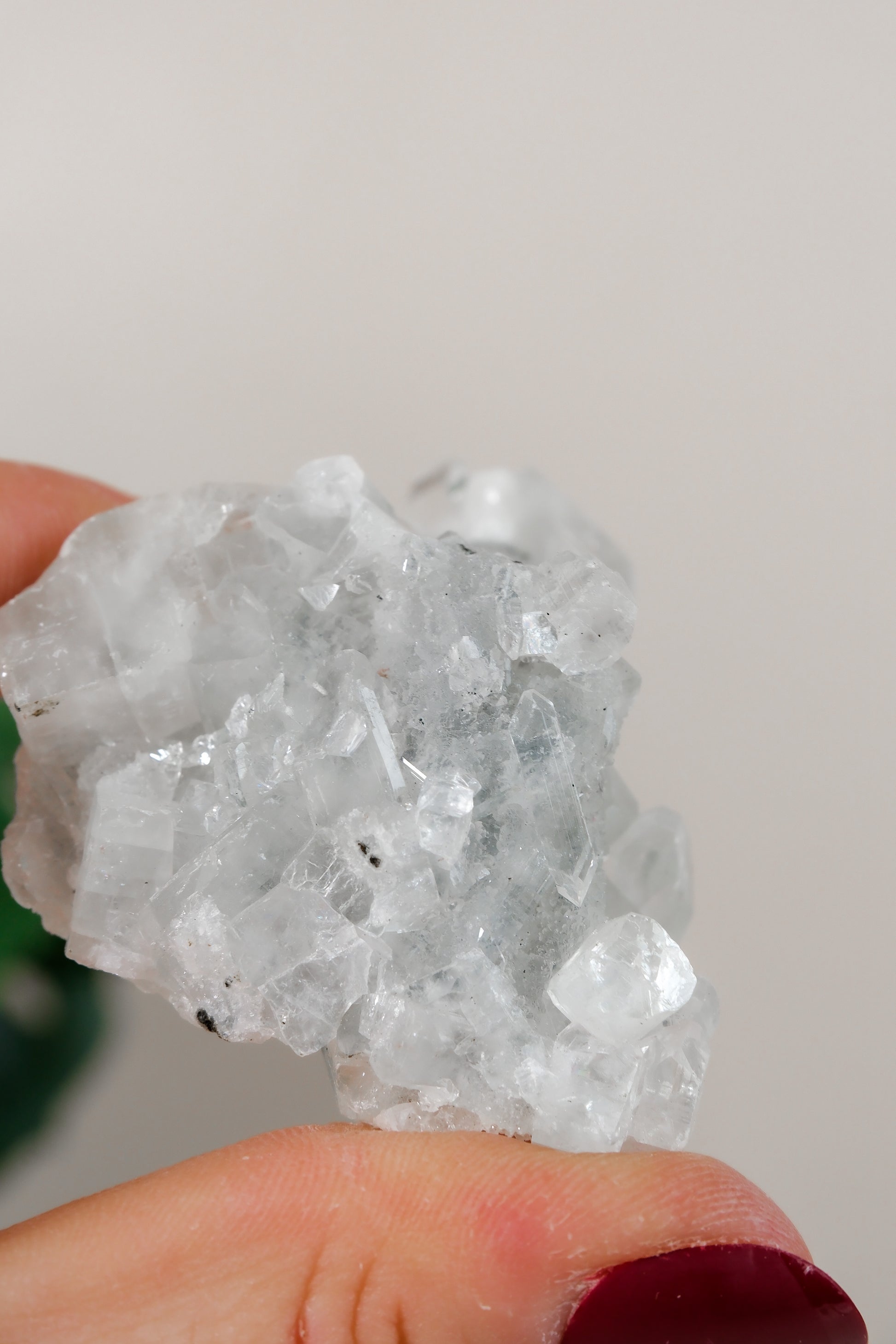 Apophyllite Cluster