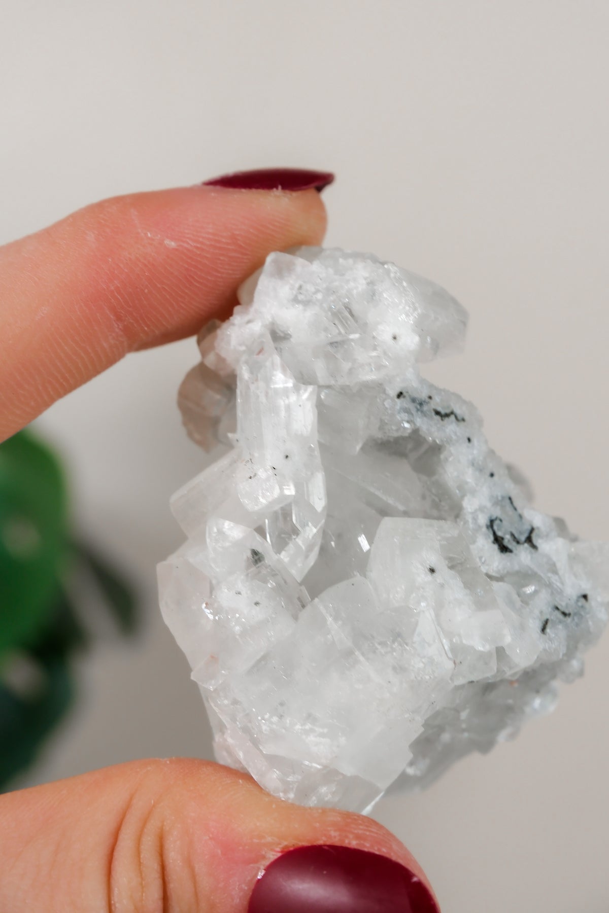 Apophyllite Cluster