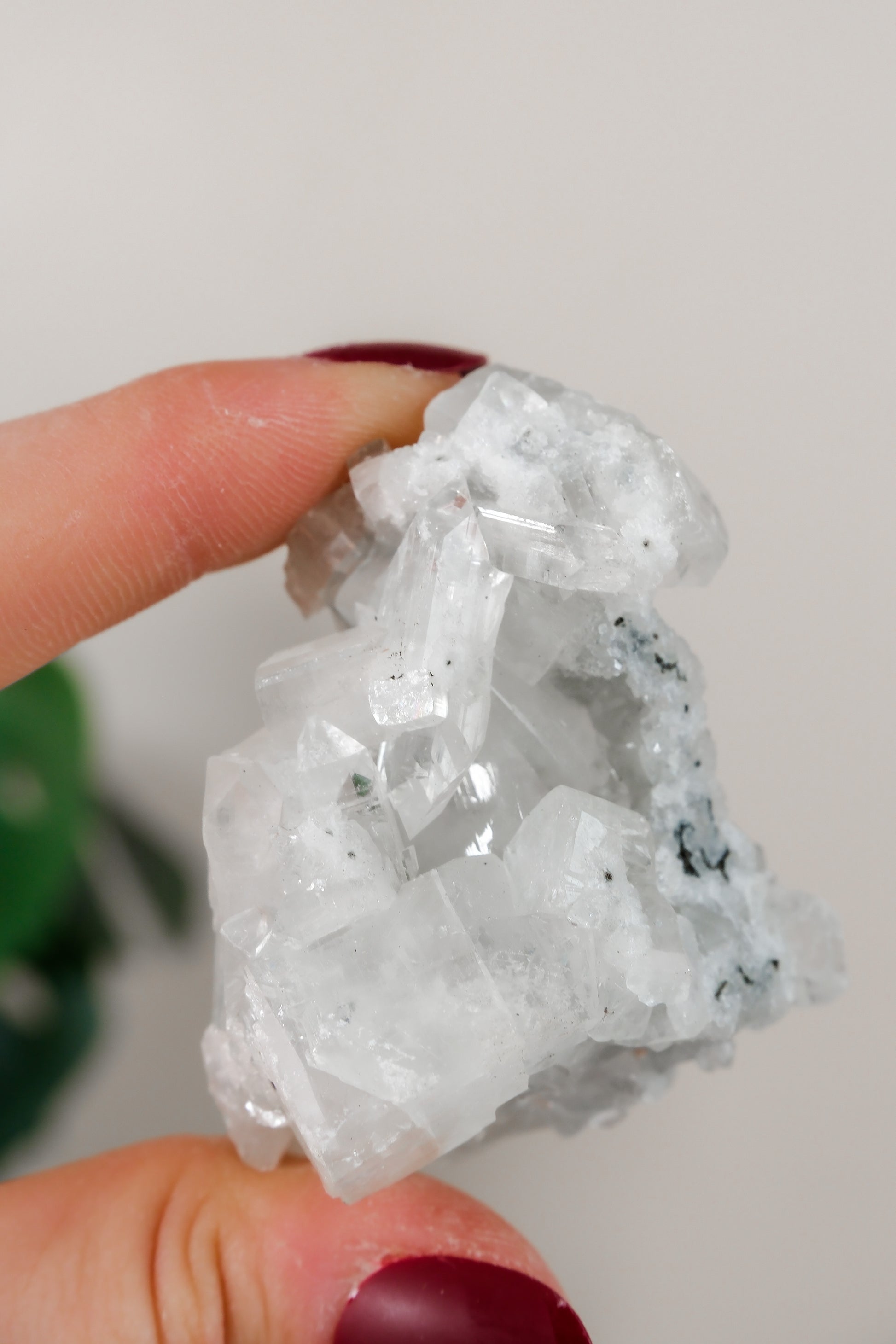 Apophyllite Cluster