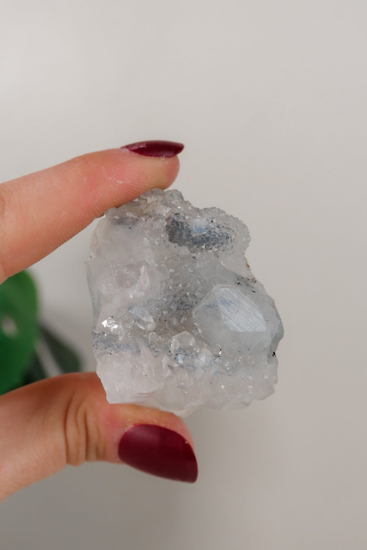 Apophyllite Cluster