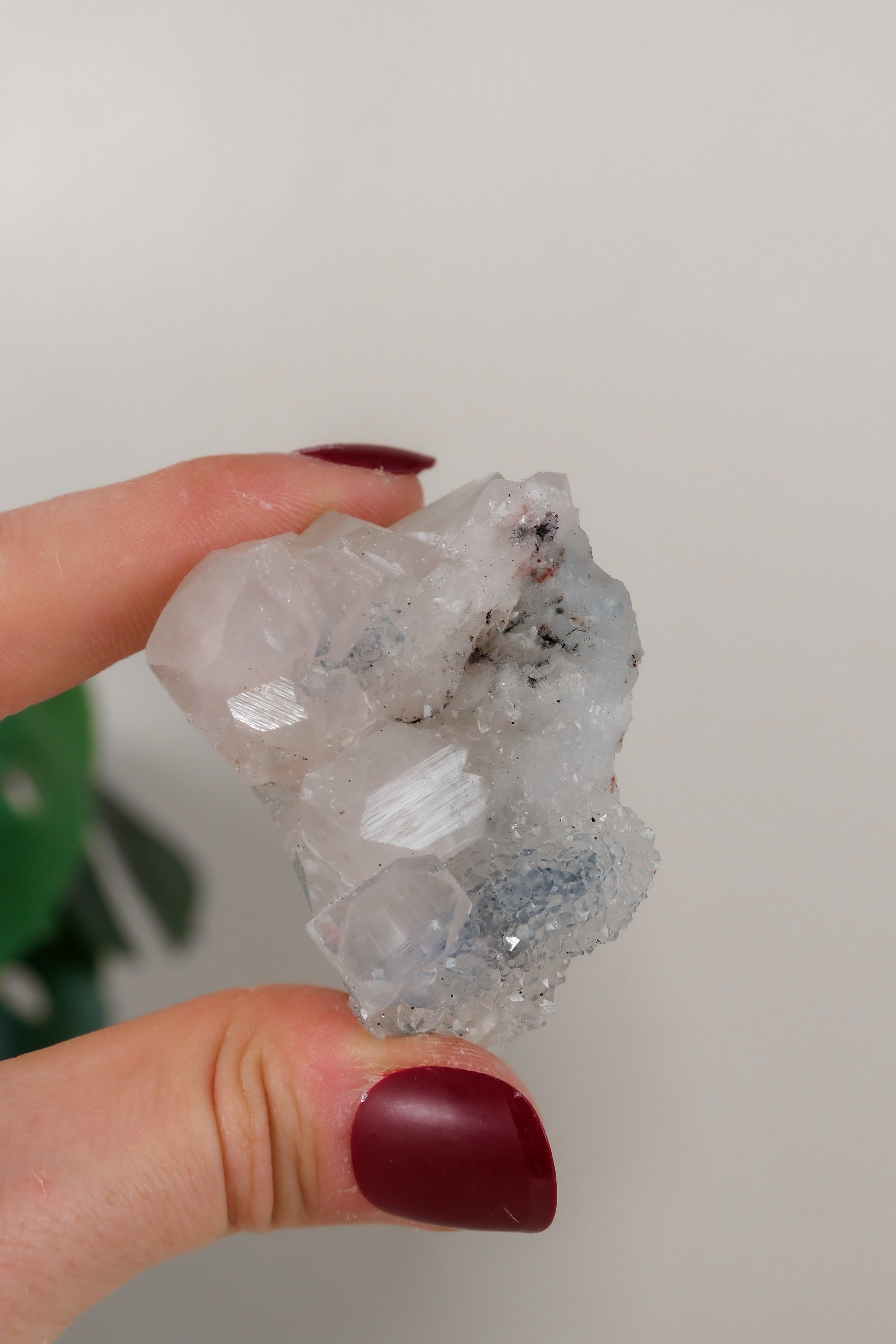Apophyllite Cluster