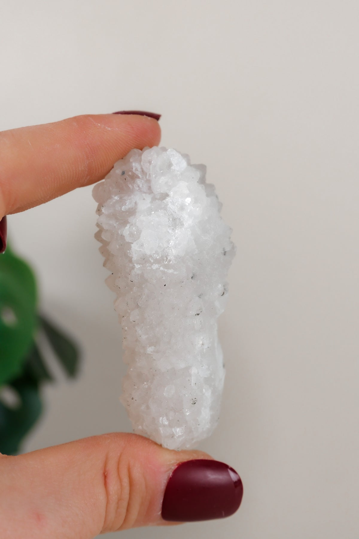 Apophyllite Cluster