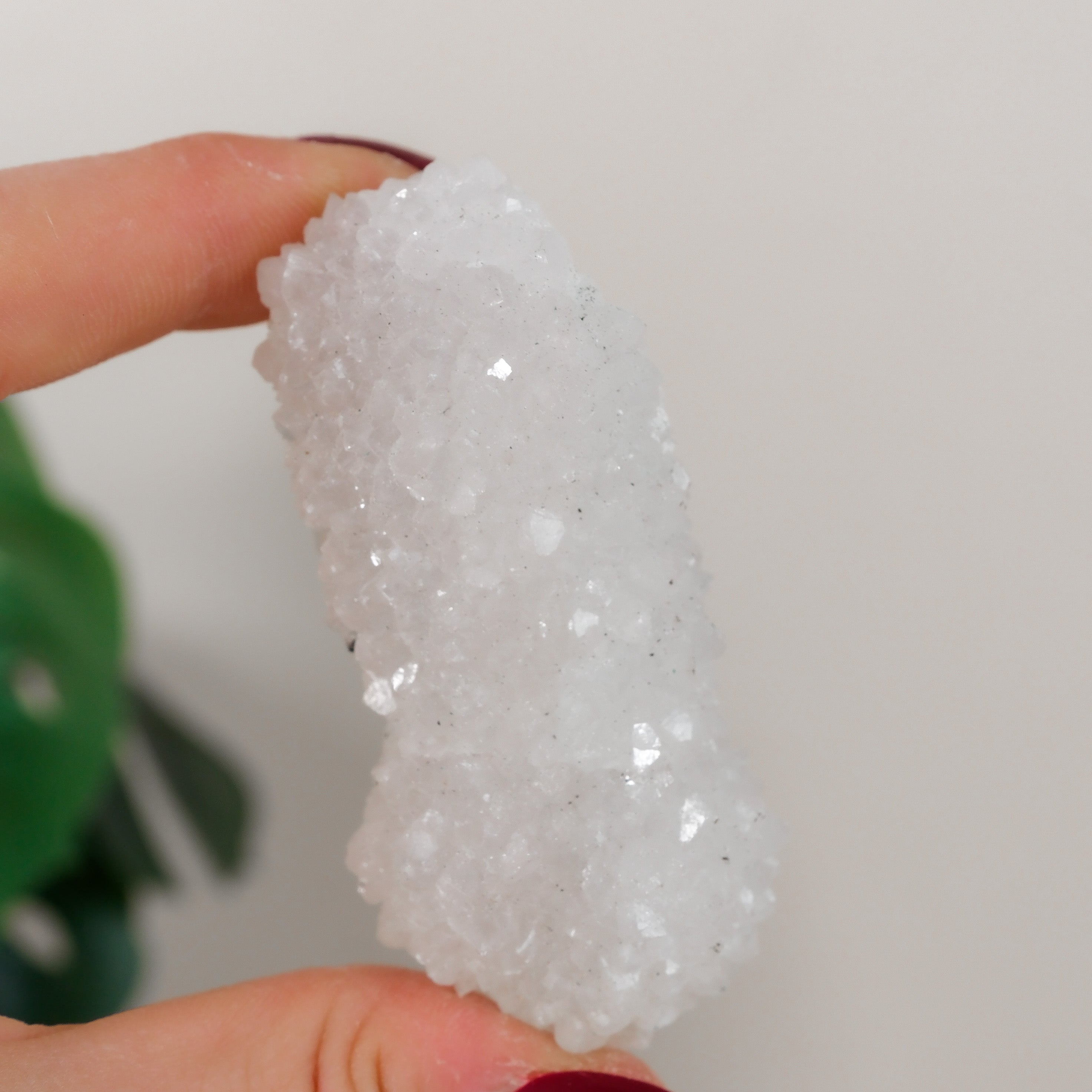 Apophyllite Cluster