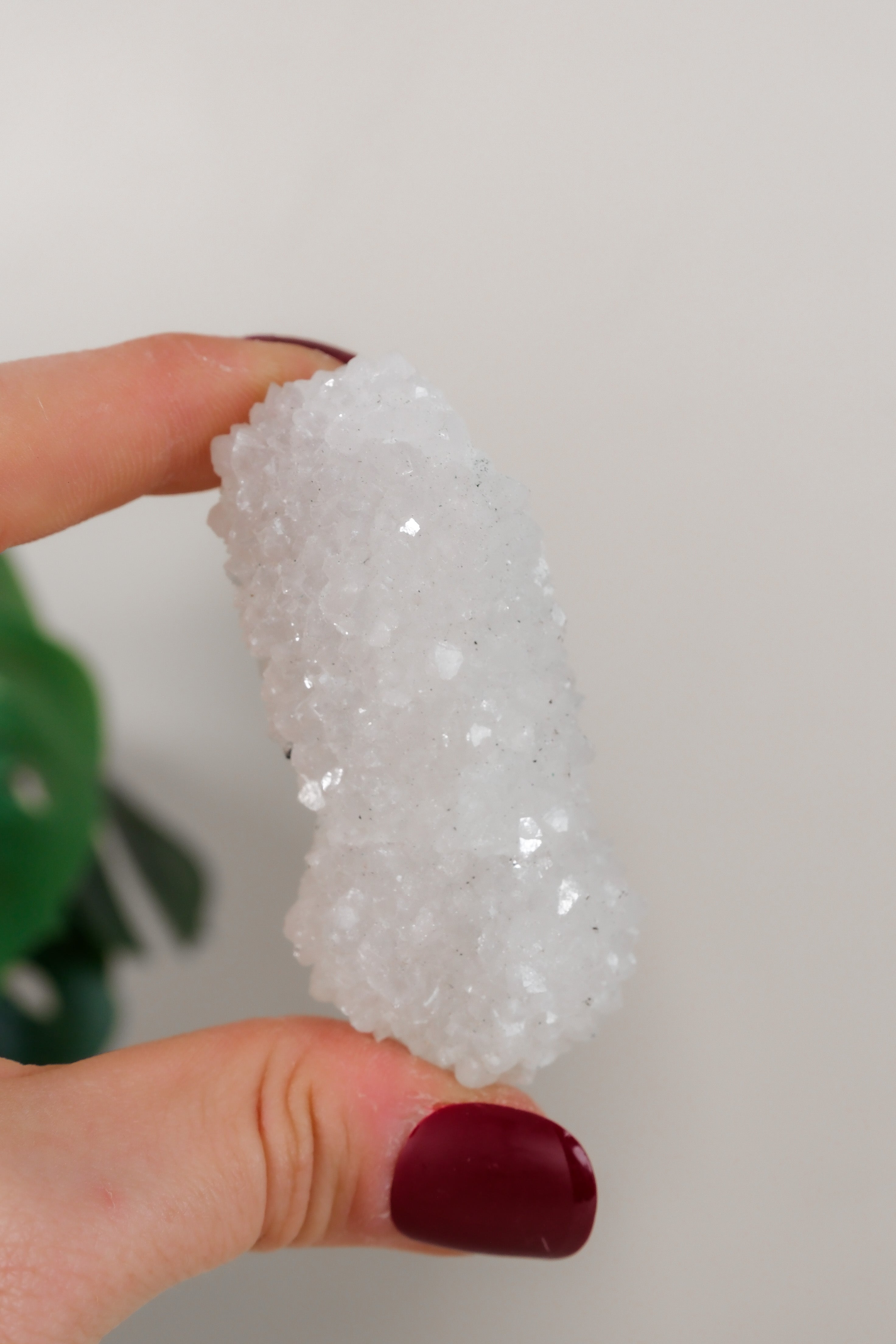 Apophyllite Cluster