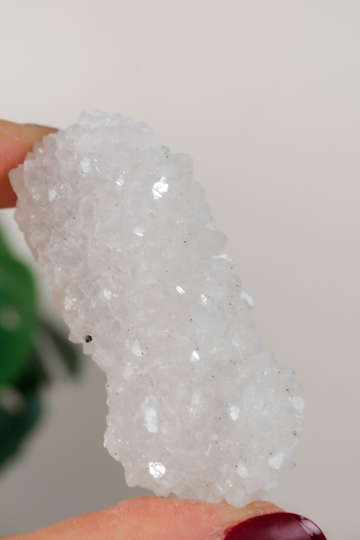 Apophyllite Cluster