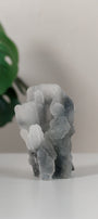 Chalcedony Cluster