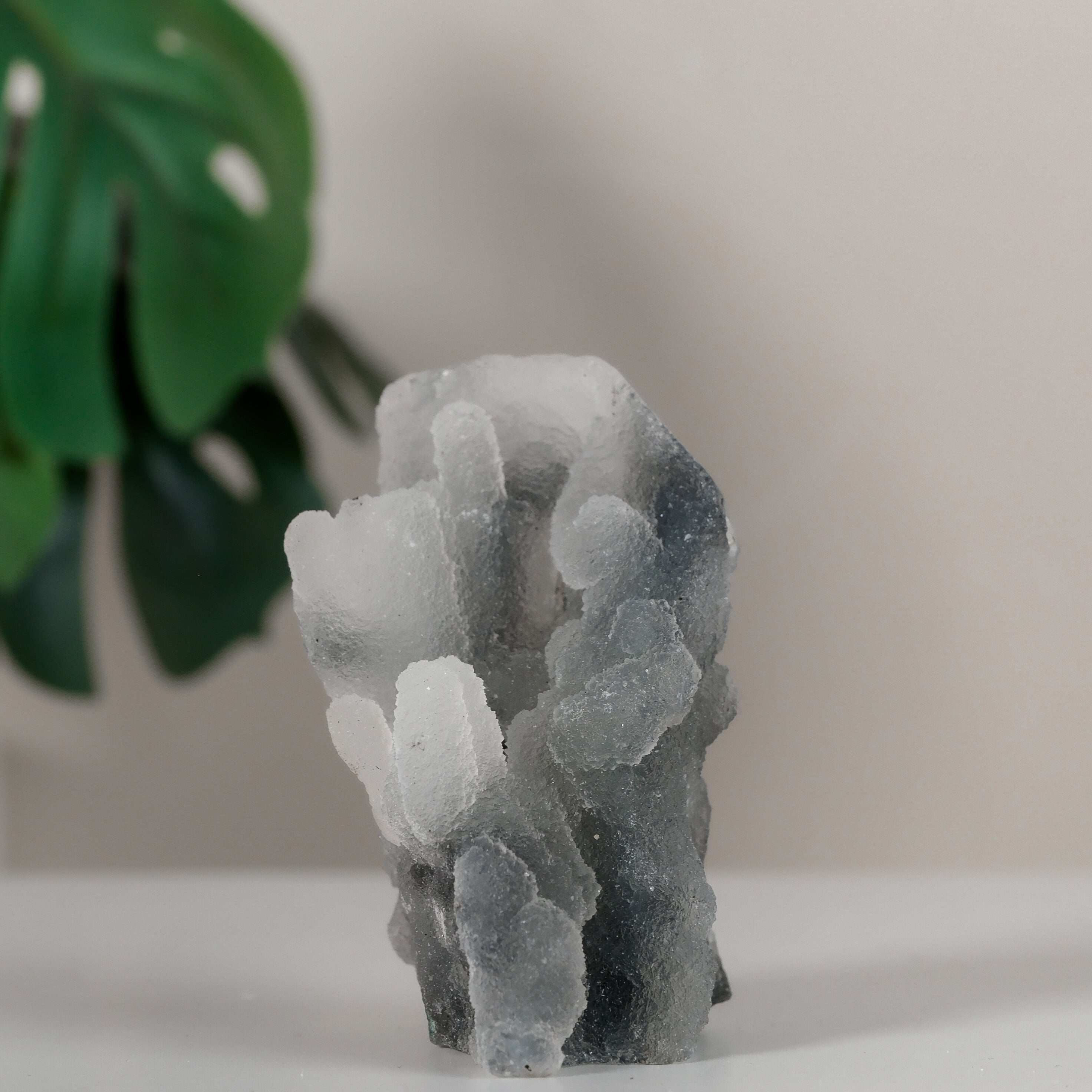 Chalcedony Cluster