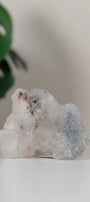 Apophyllite Cluster