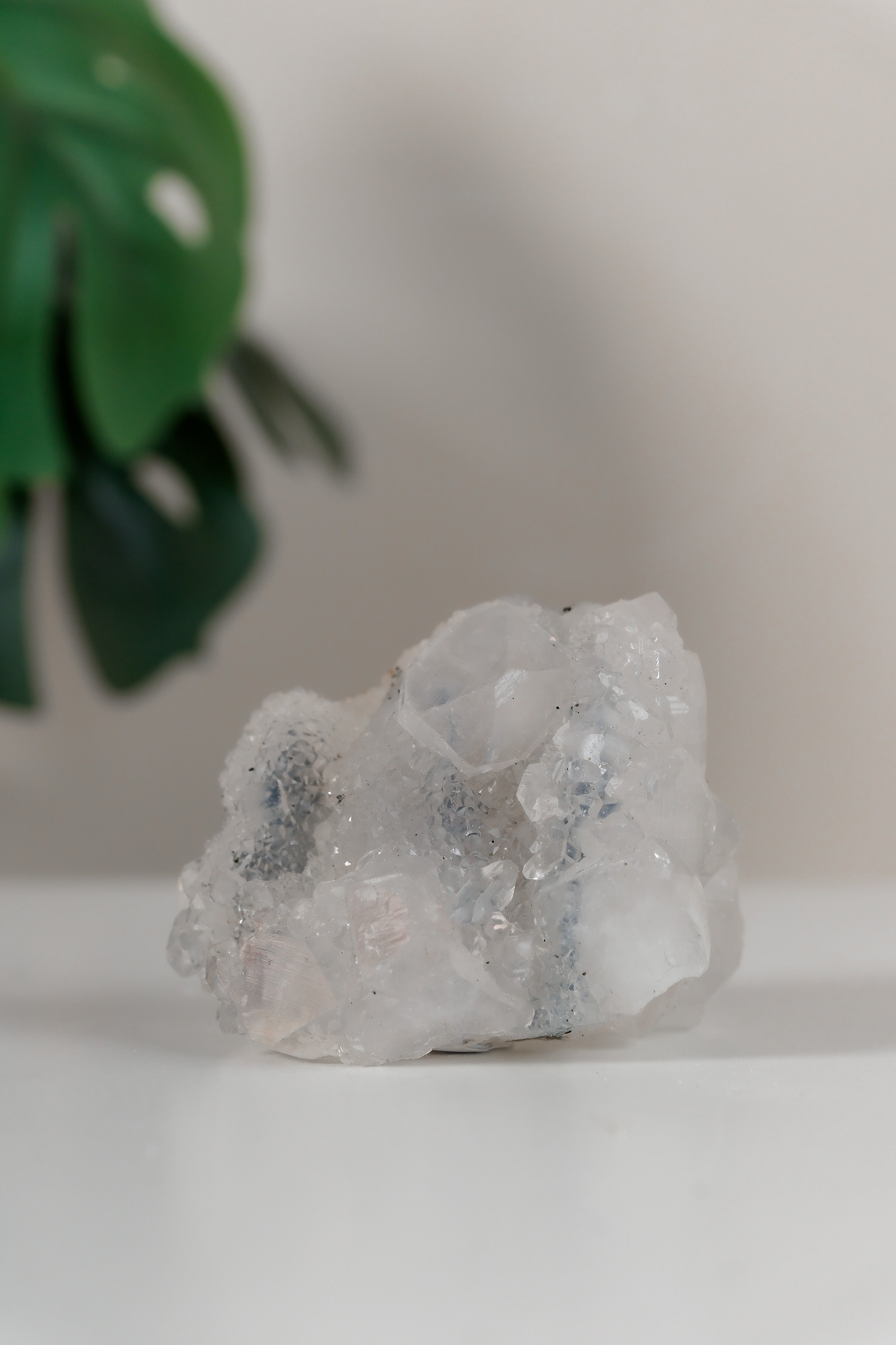 Apophyllite Cluster