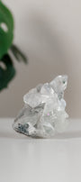 Apophyllite Cluster