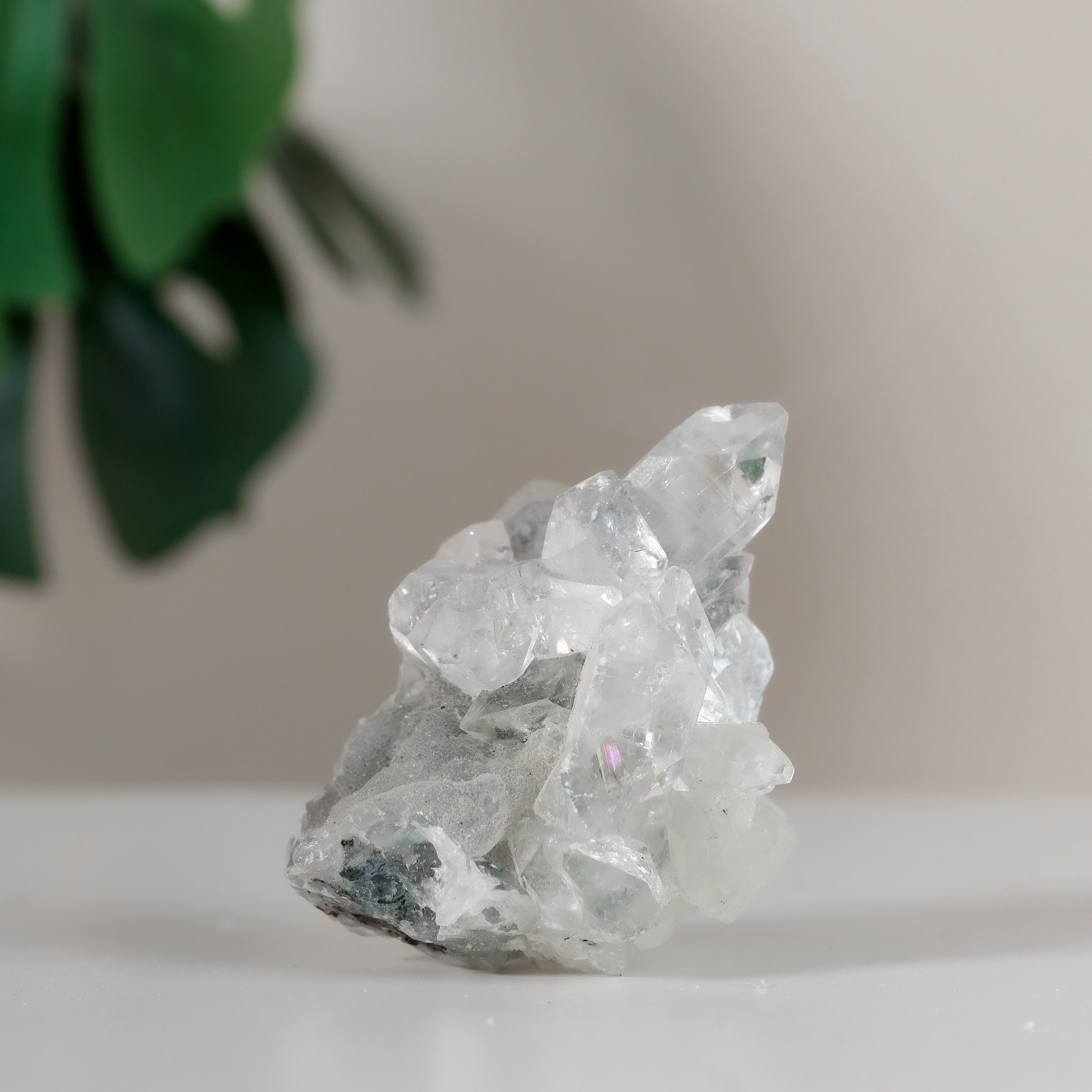 Apophyllite Cluster