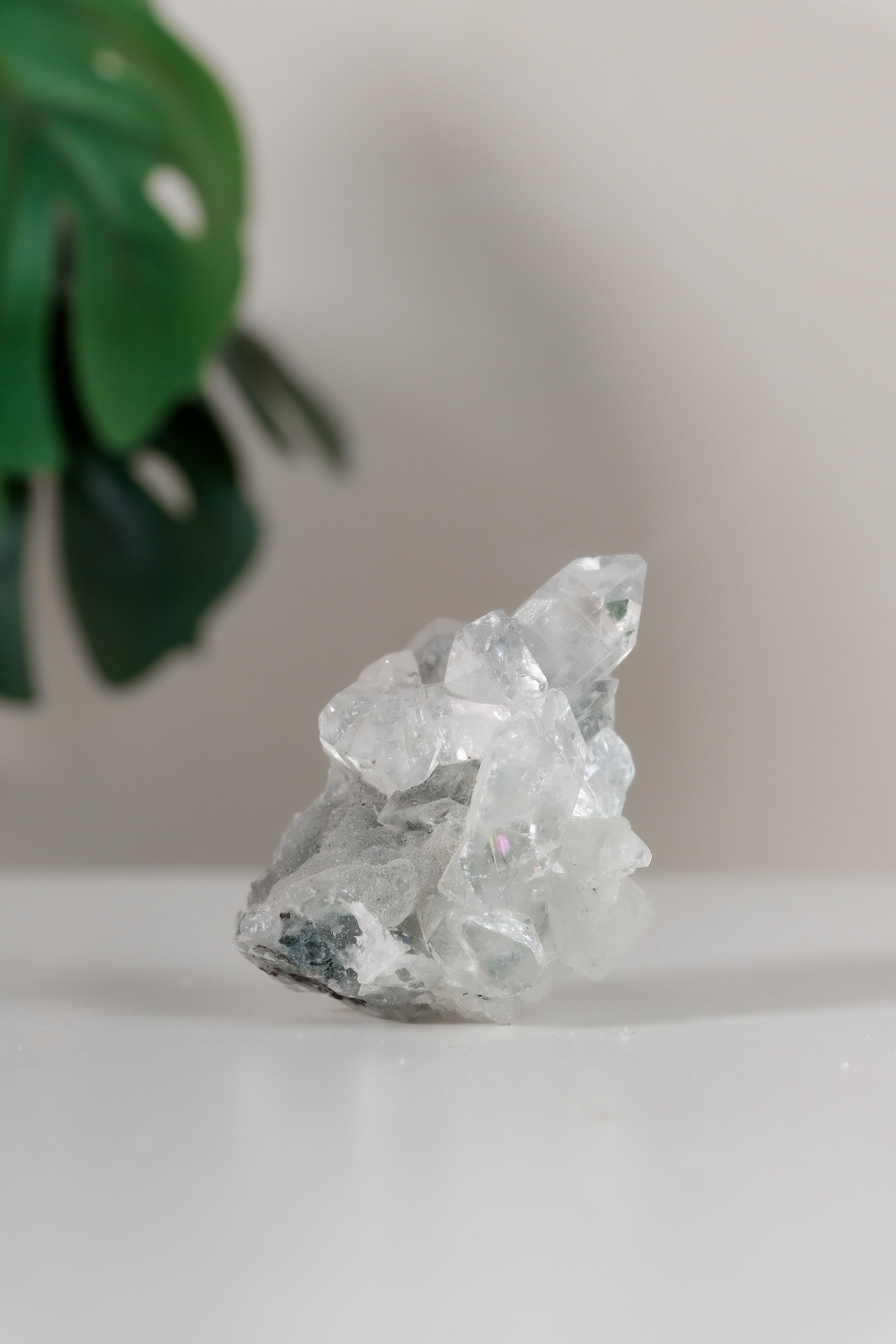 Apophyllite Cluster