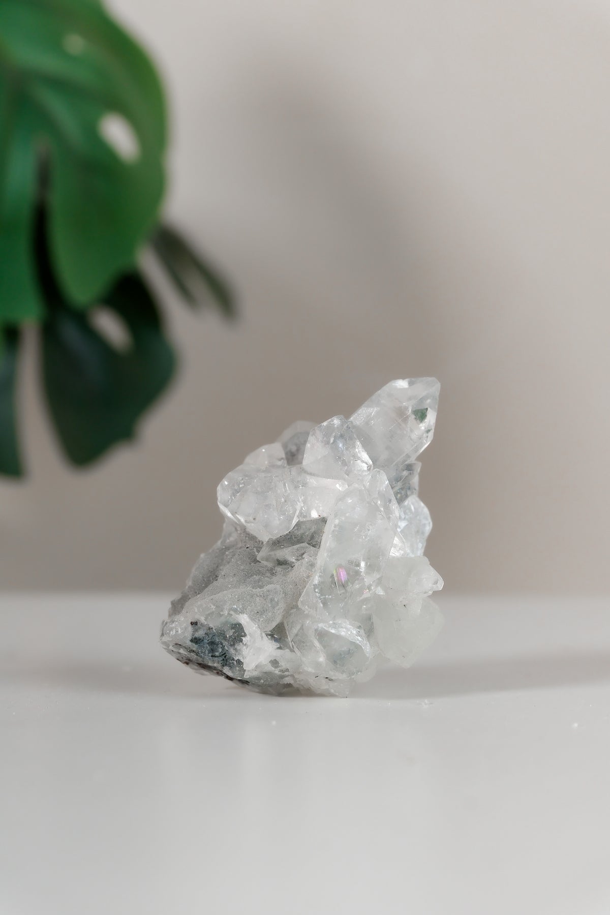Apophyllite Cluster