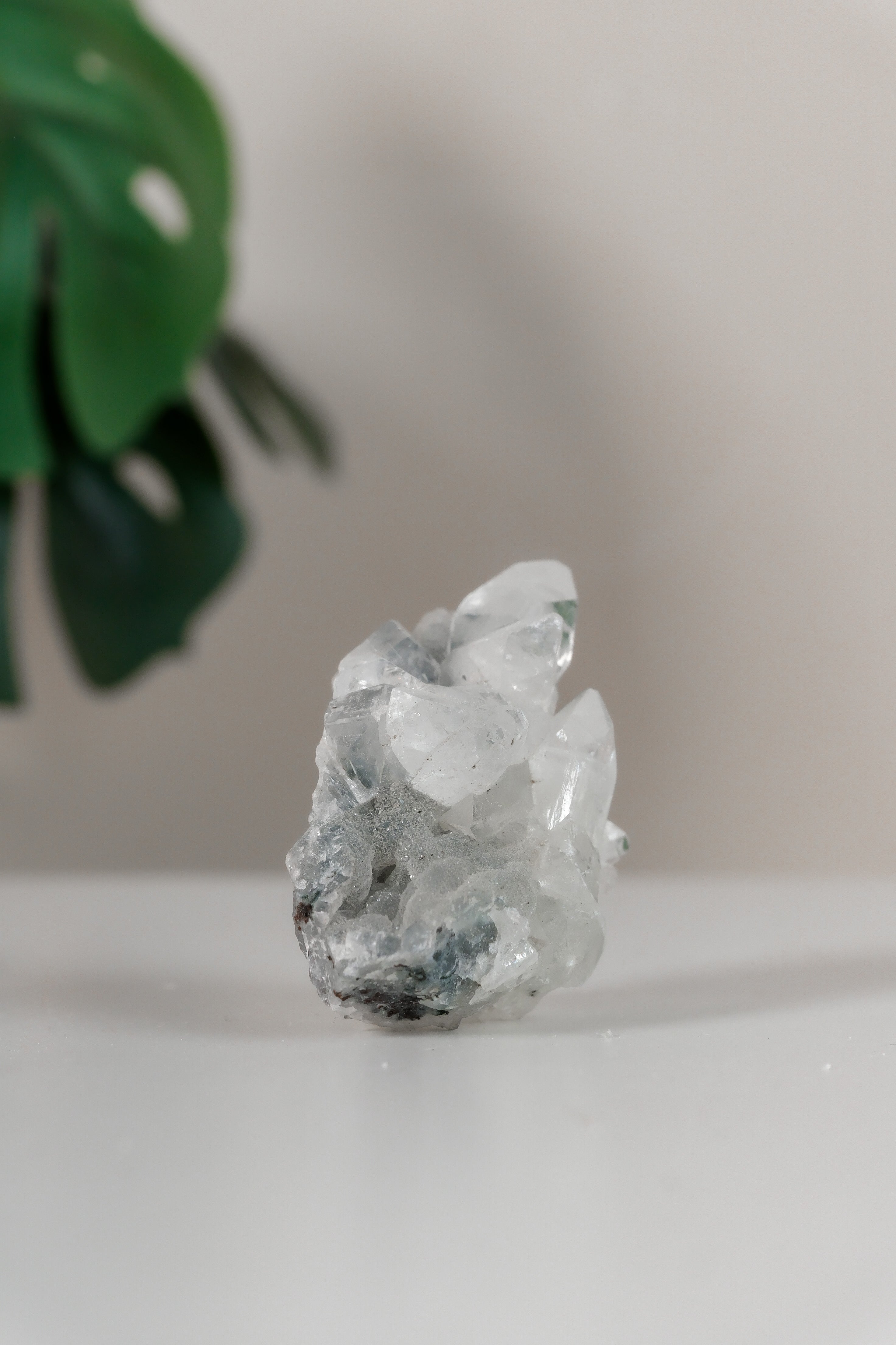 Apophyllite Cluster