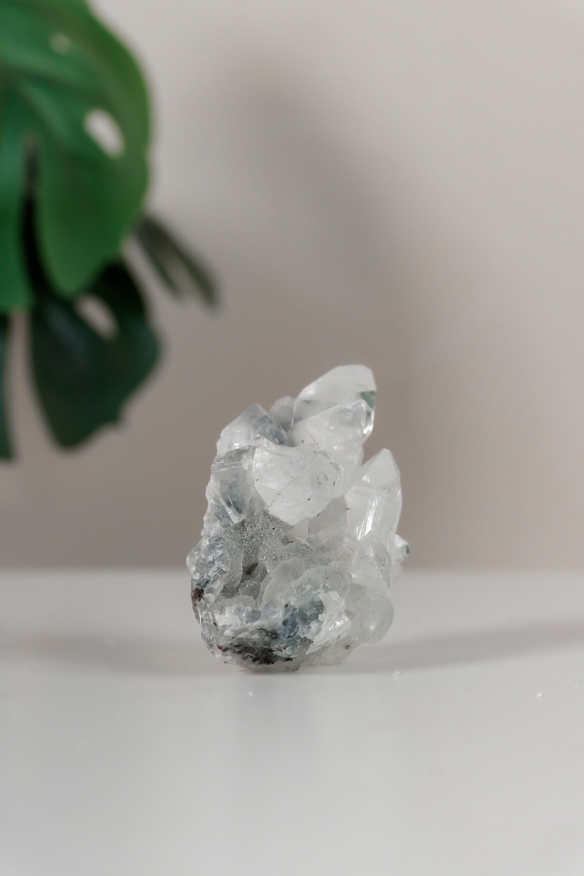 Apophyllite Cluster