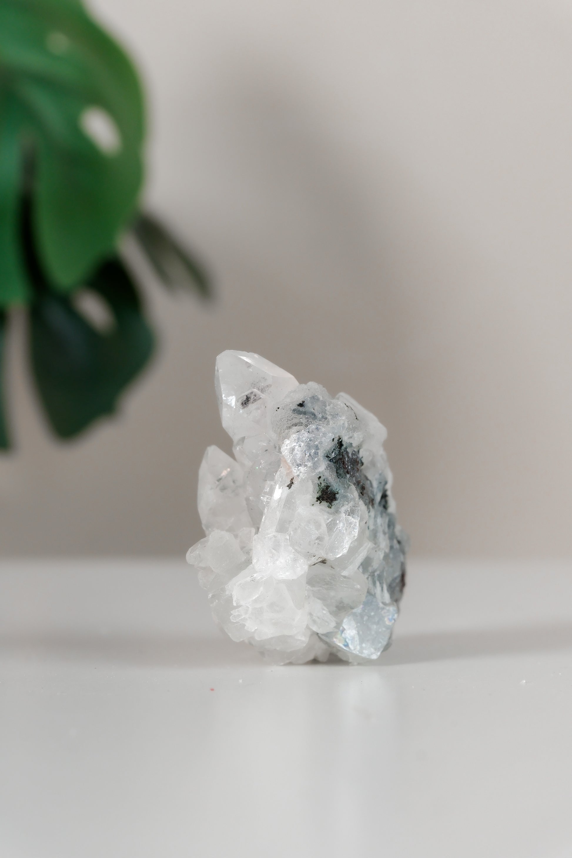 Apophyllite Cluster