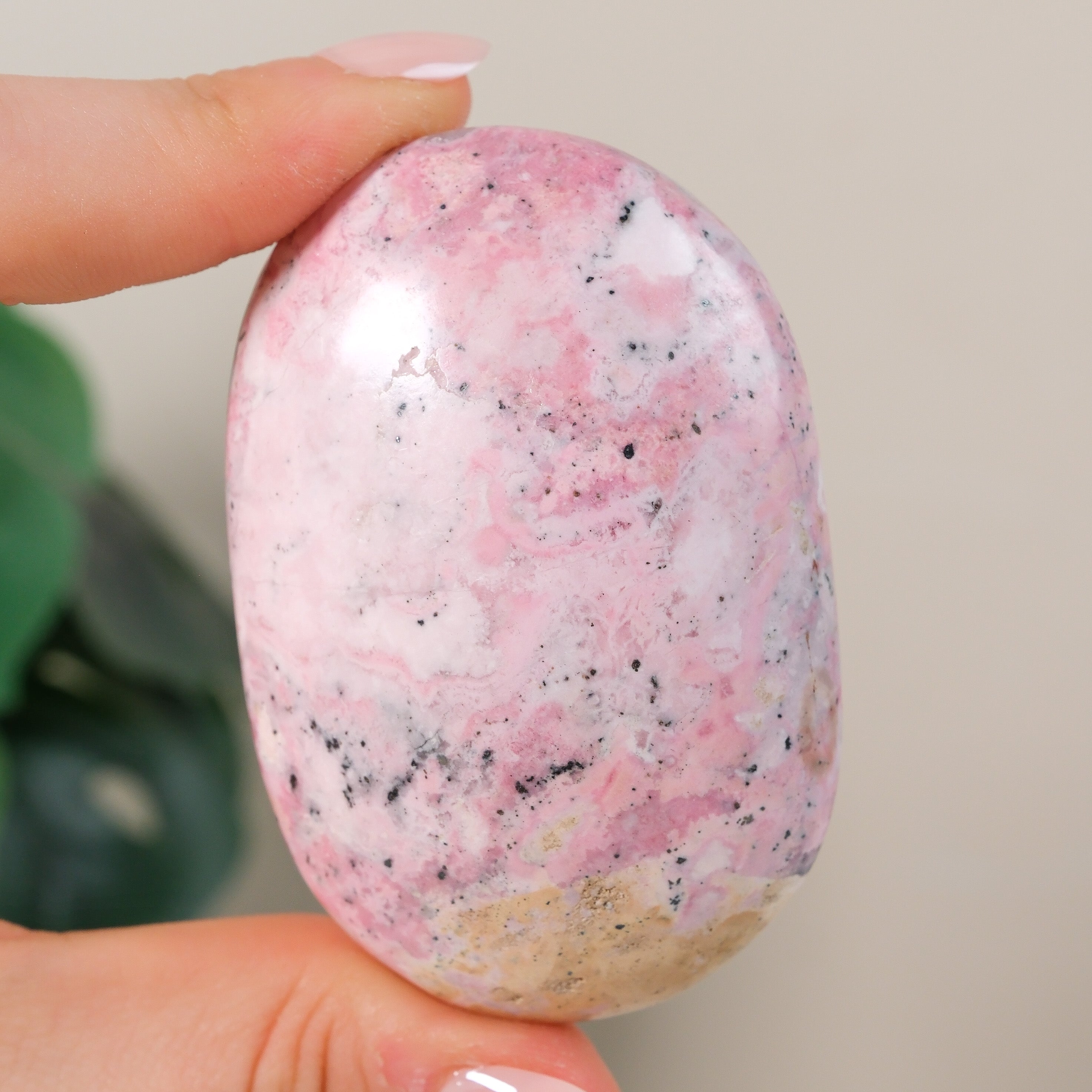 Rhodonite Palmstone