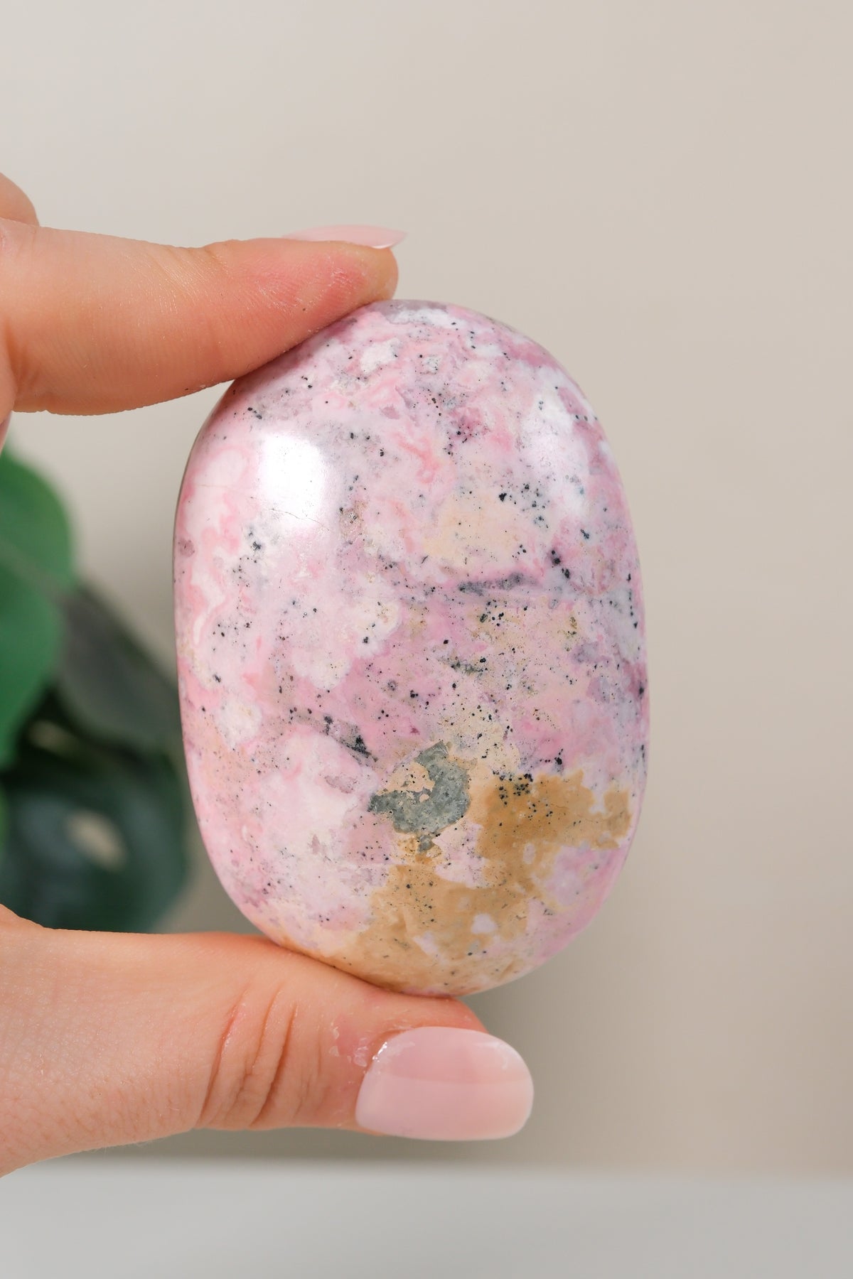 Rhodonite Palmstone