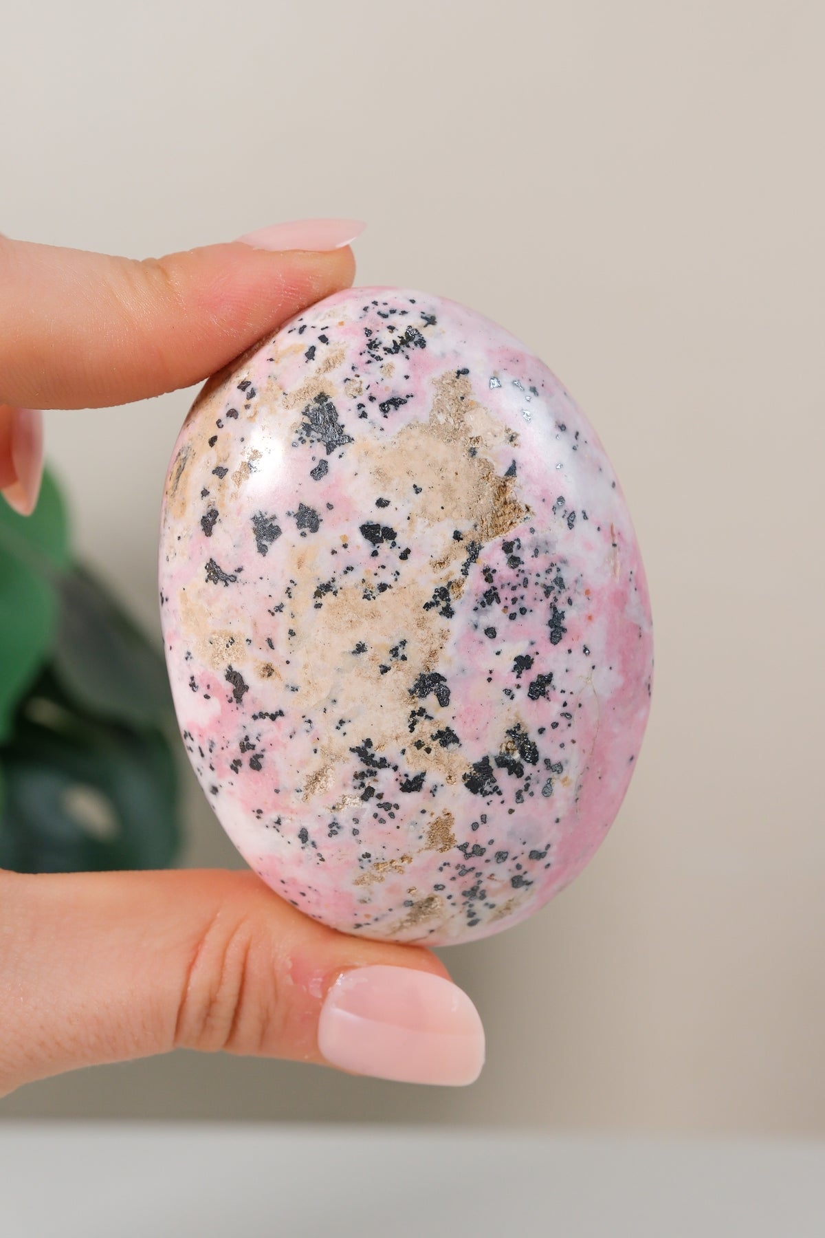 Rhodonite Palmstone