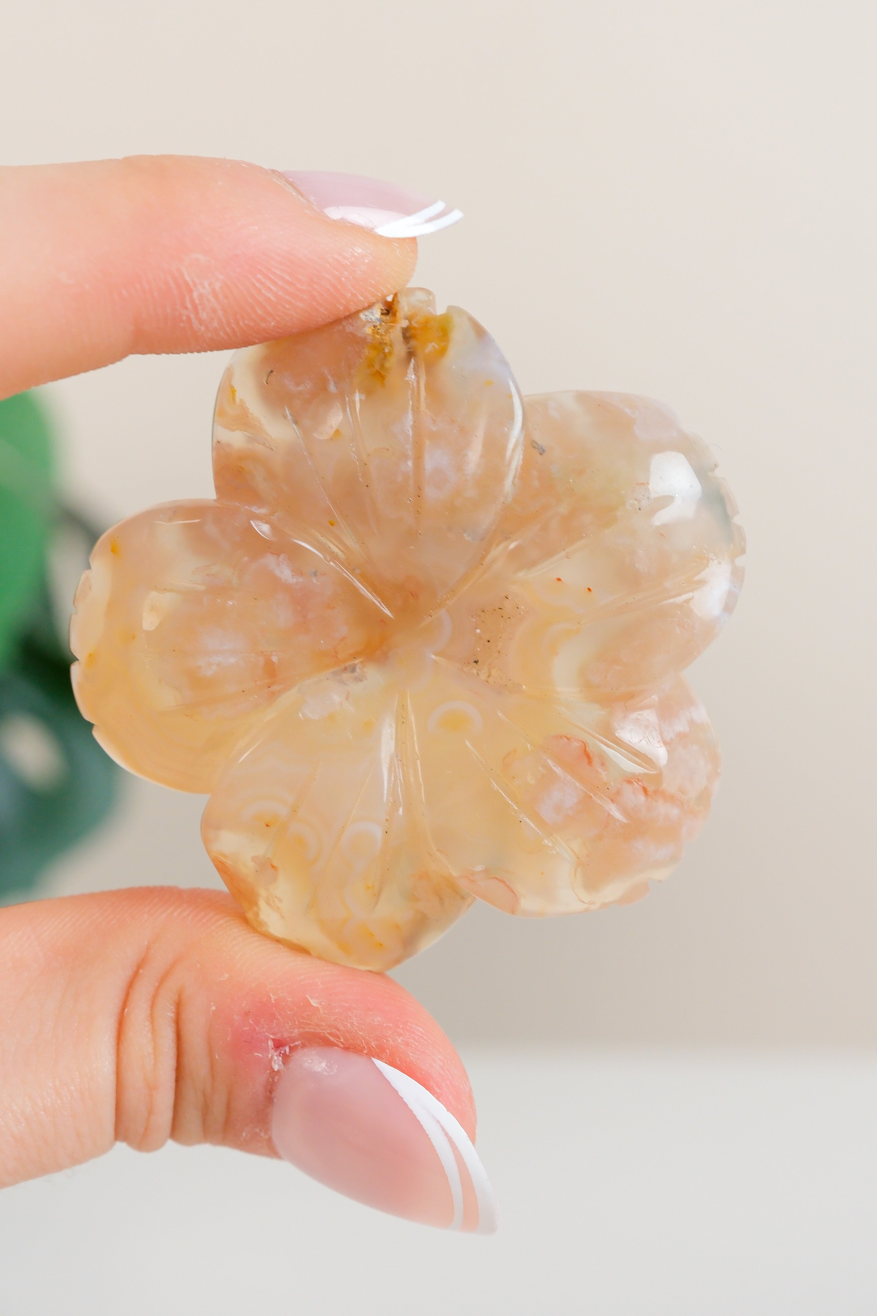 Flower Agate Flowers