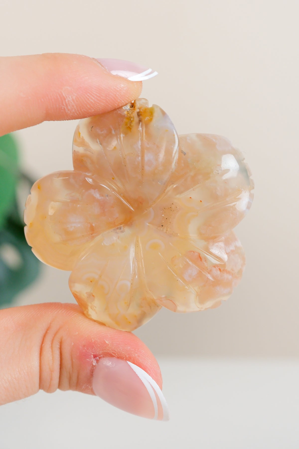 Flower Agate Flowers