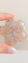 Flower Agate Flowers