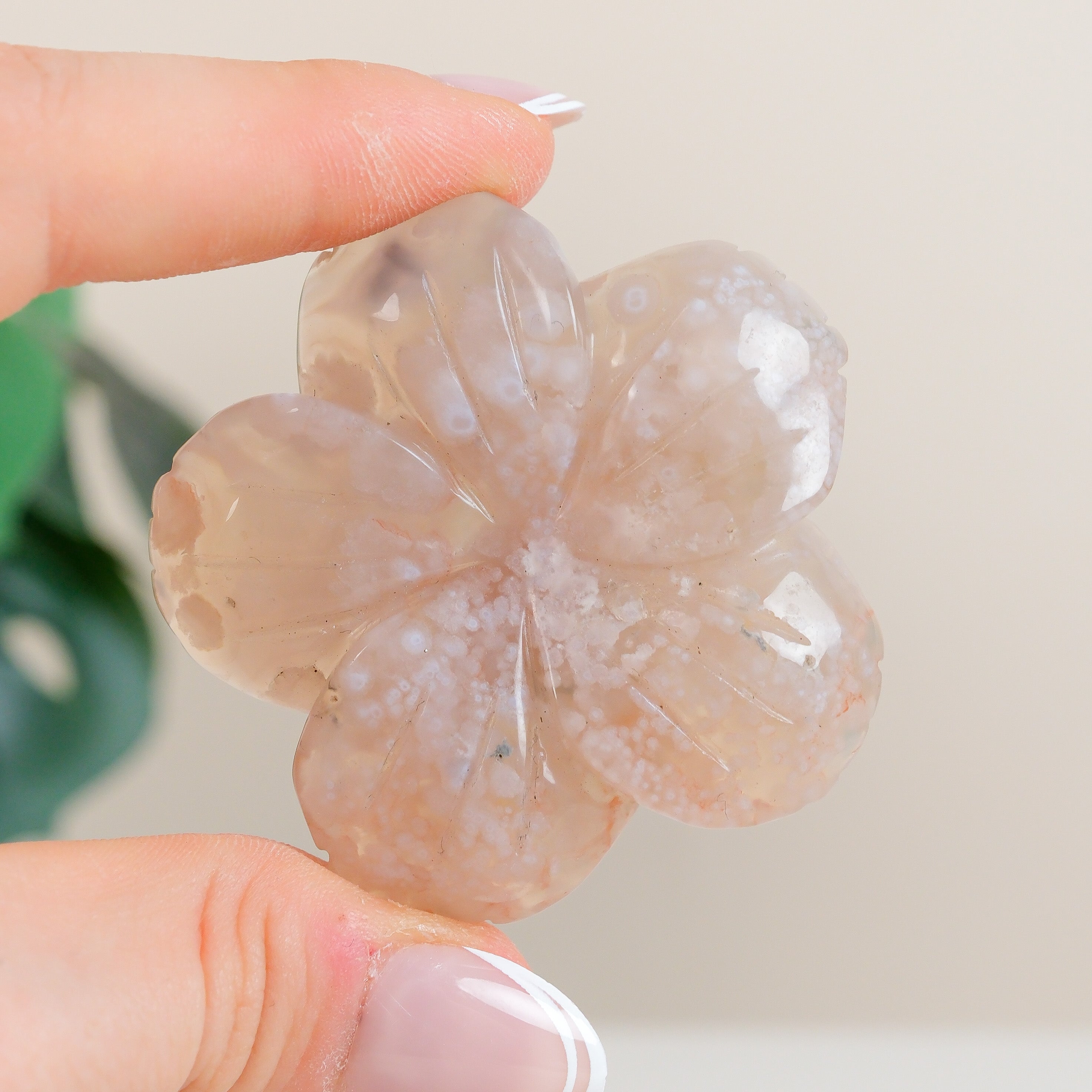 Flower Agate Flowers