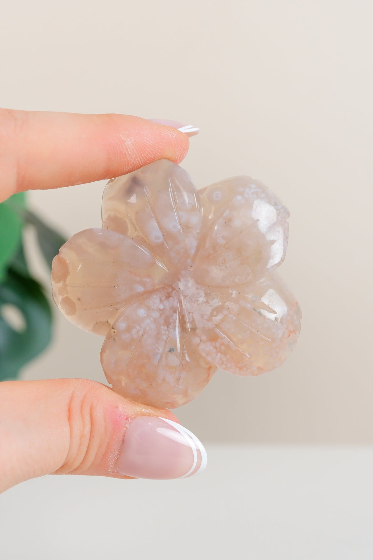 Flower Agate Flowers