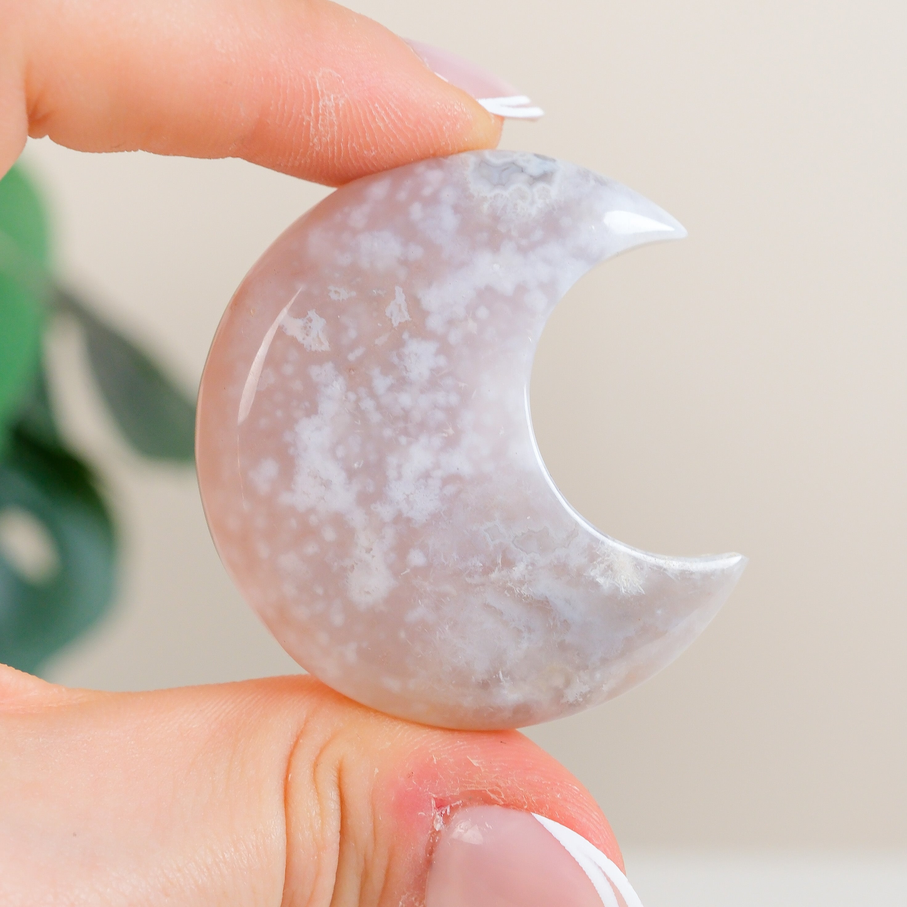Flower Agate Moon