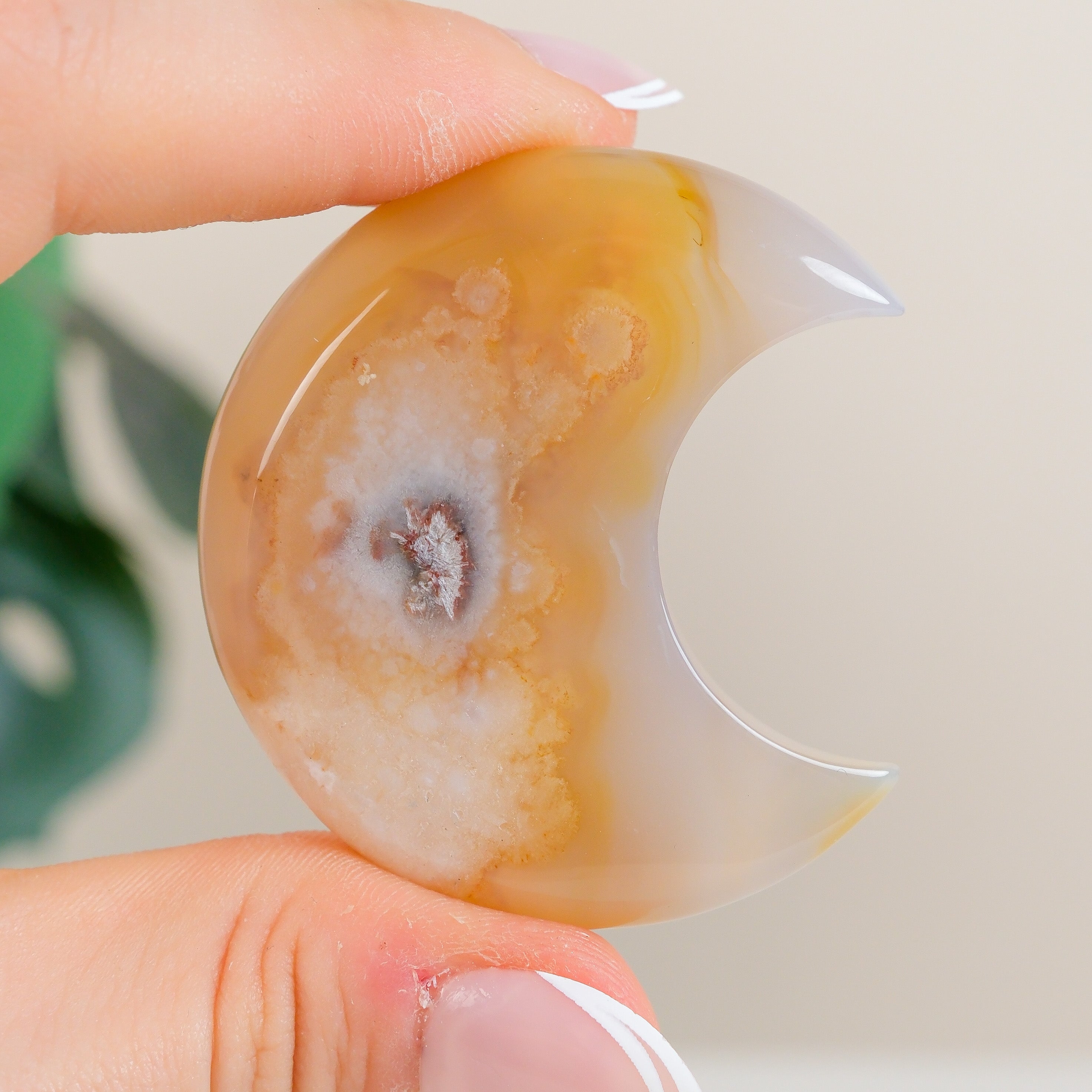 Flower Agate Moon
