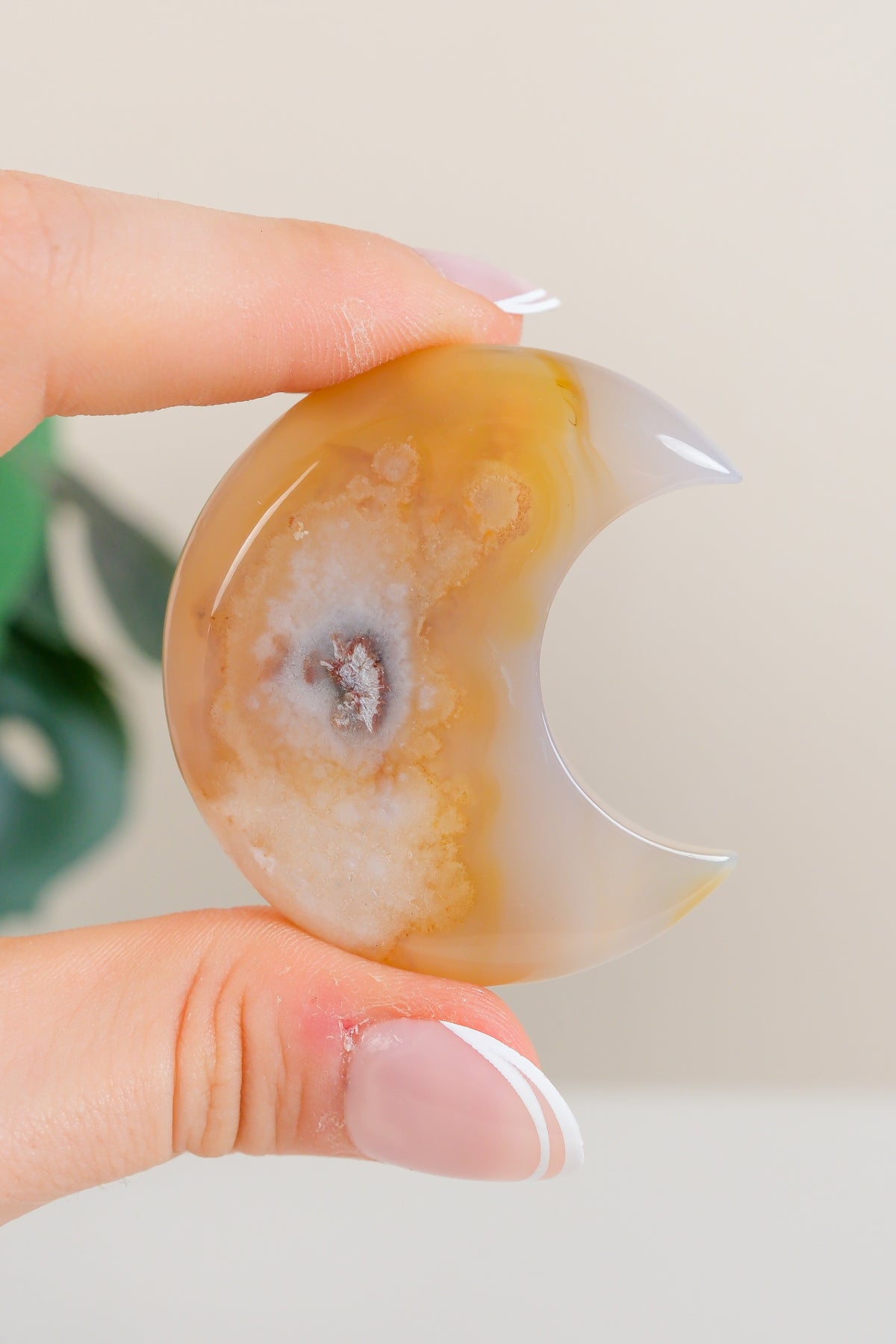 Flower Agate Moon