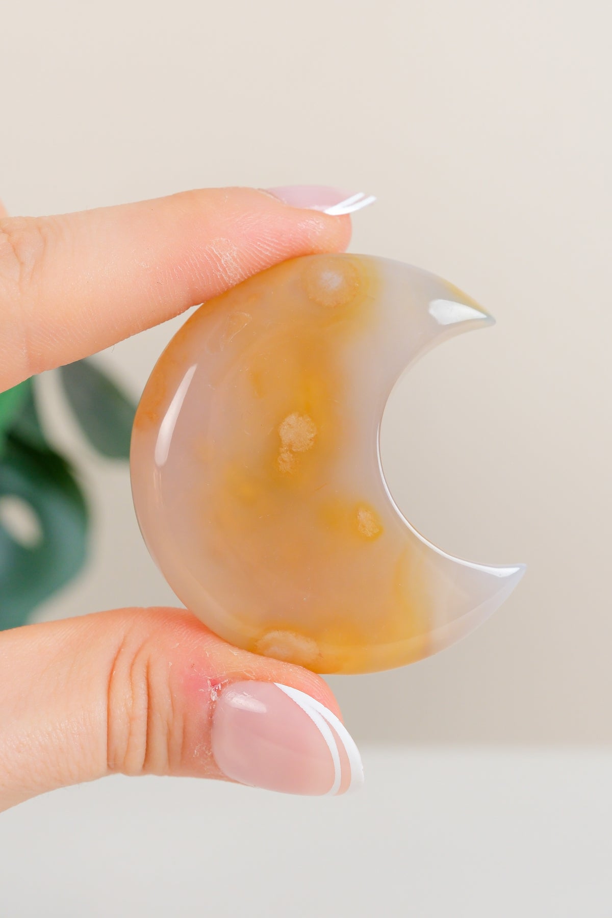 Flower Agate Moon