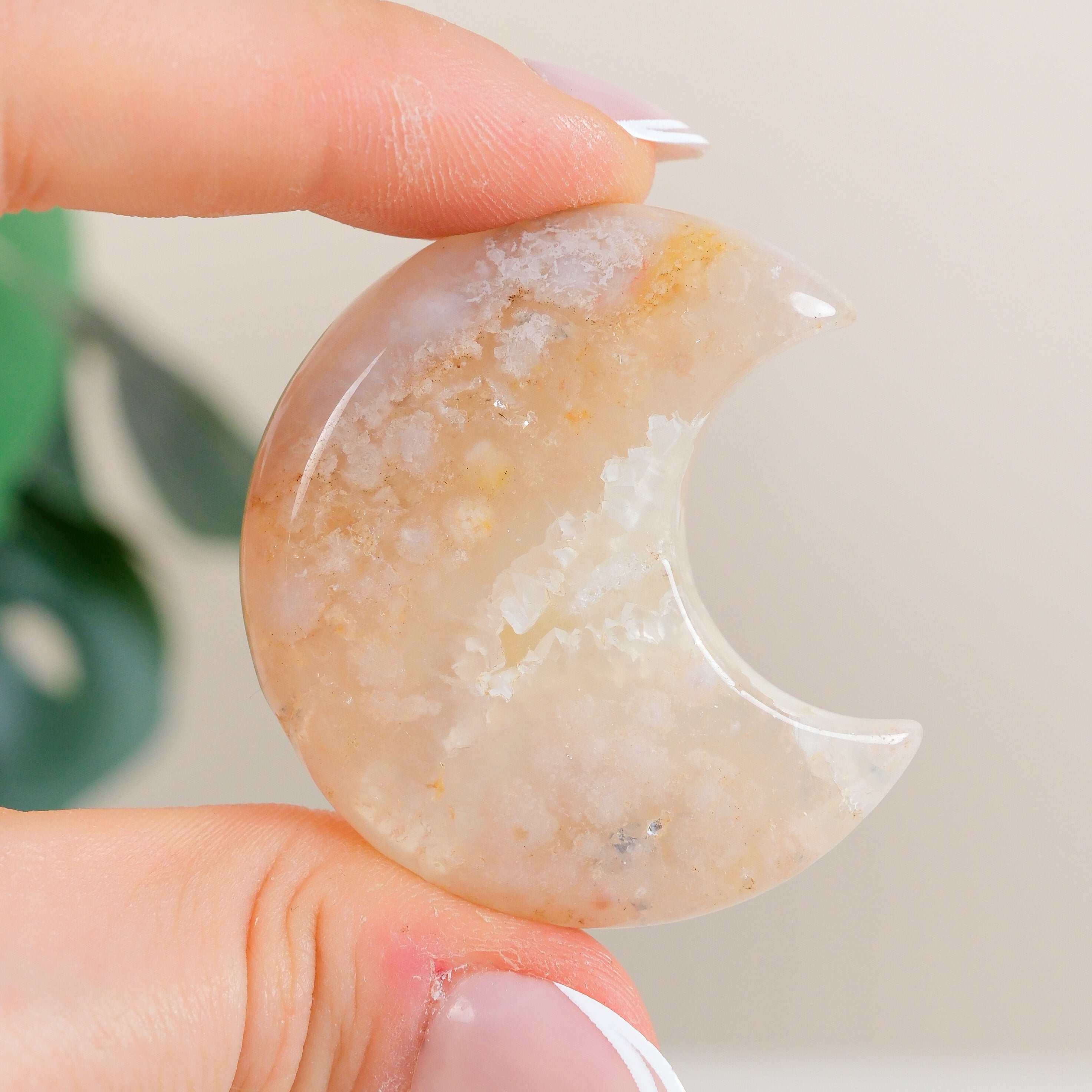 Flower Agate Moon