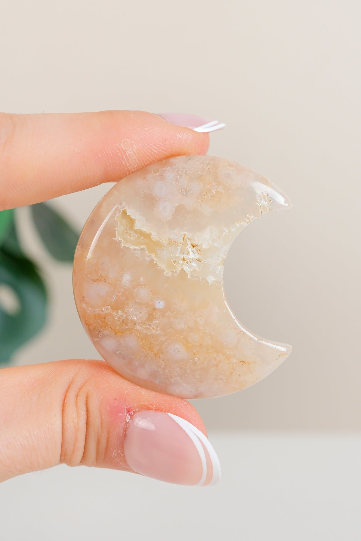 Flower Agate Moon