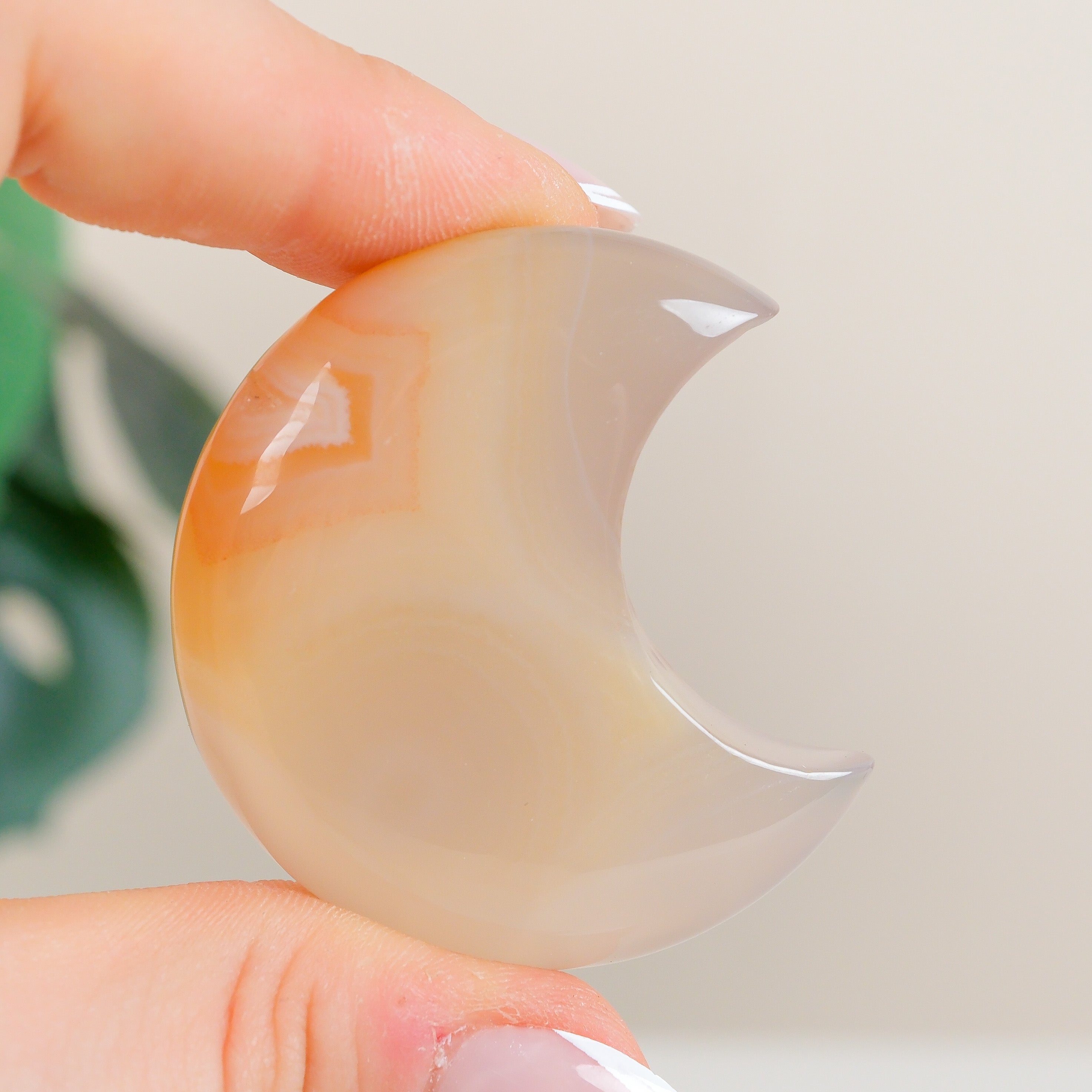 Flower Agate Moon