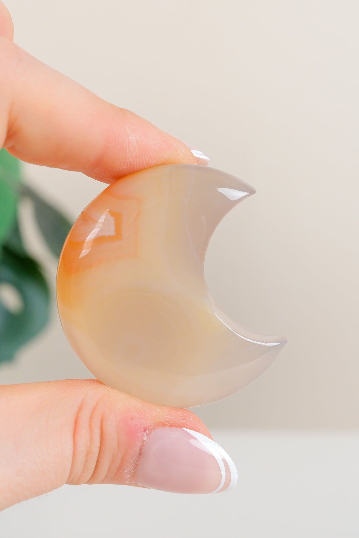 Flower Agate Moon
