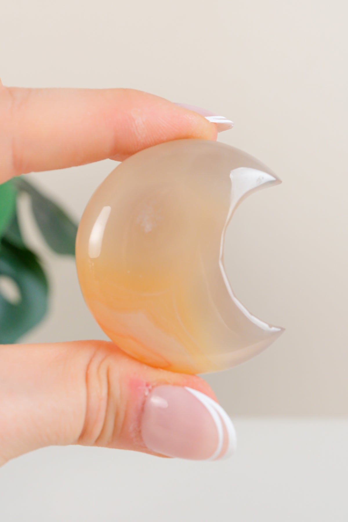 Flower Agate Moon